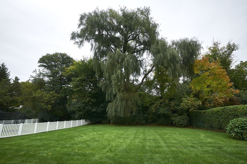 506 Clinton Road Brookline, MA 02467 - Photo 10 of 10