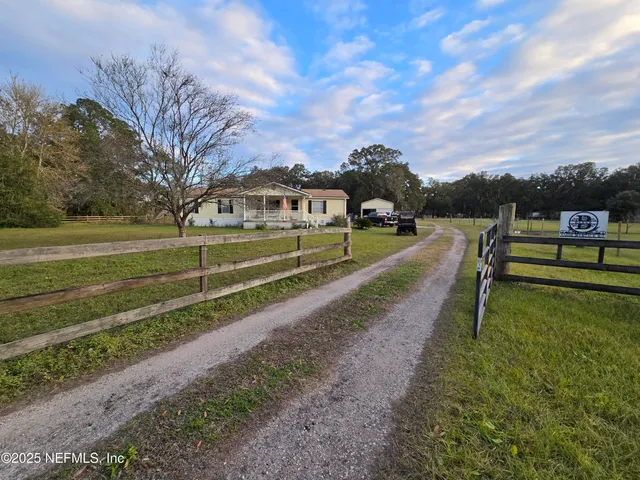 a view of a park with large trees