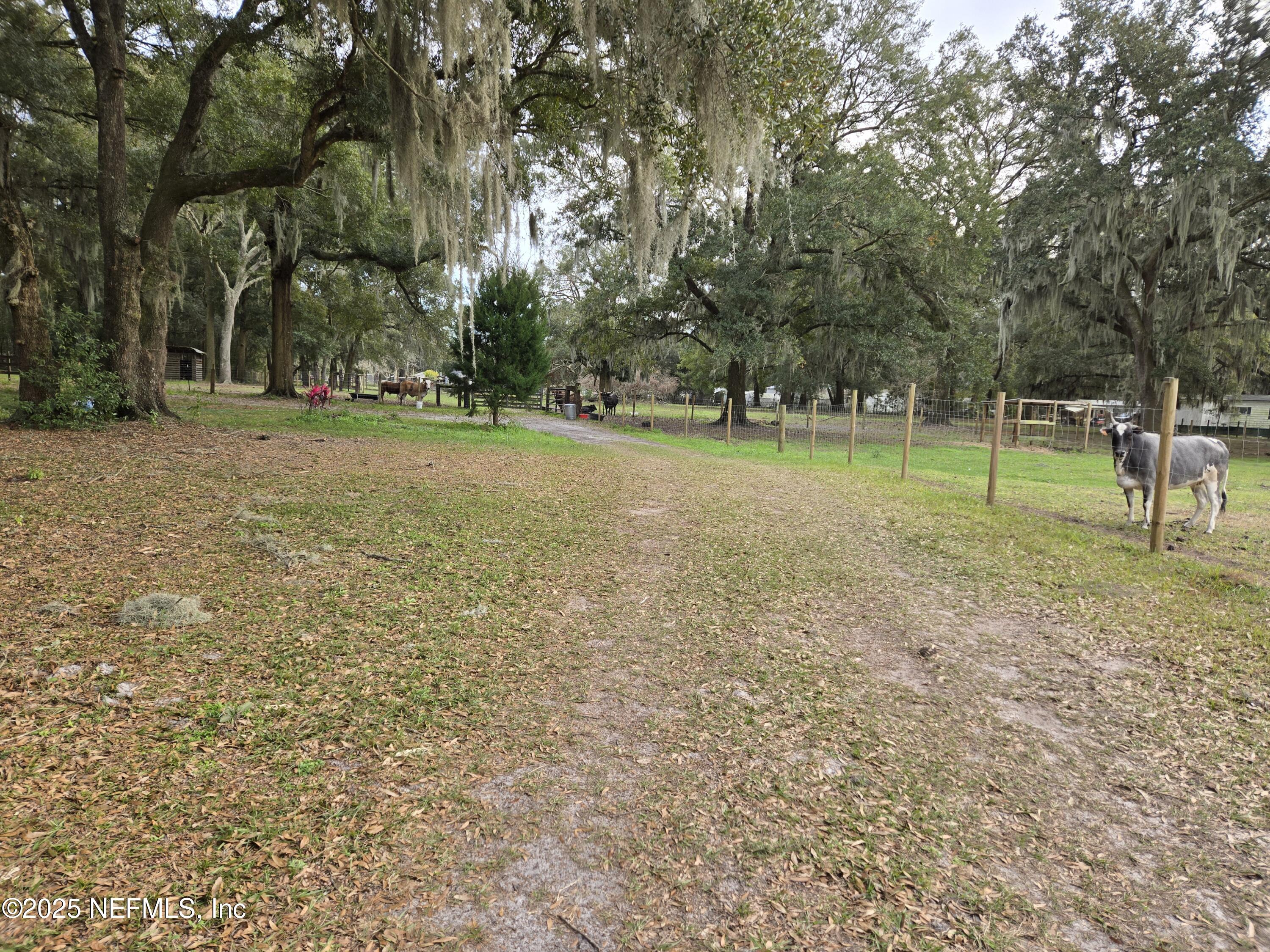 85050 Myrtice Road Yulee, FL 32097 - Photo 38 of 87 20250105_162138