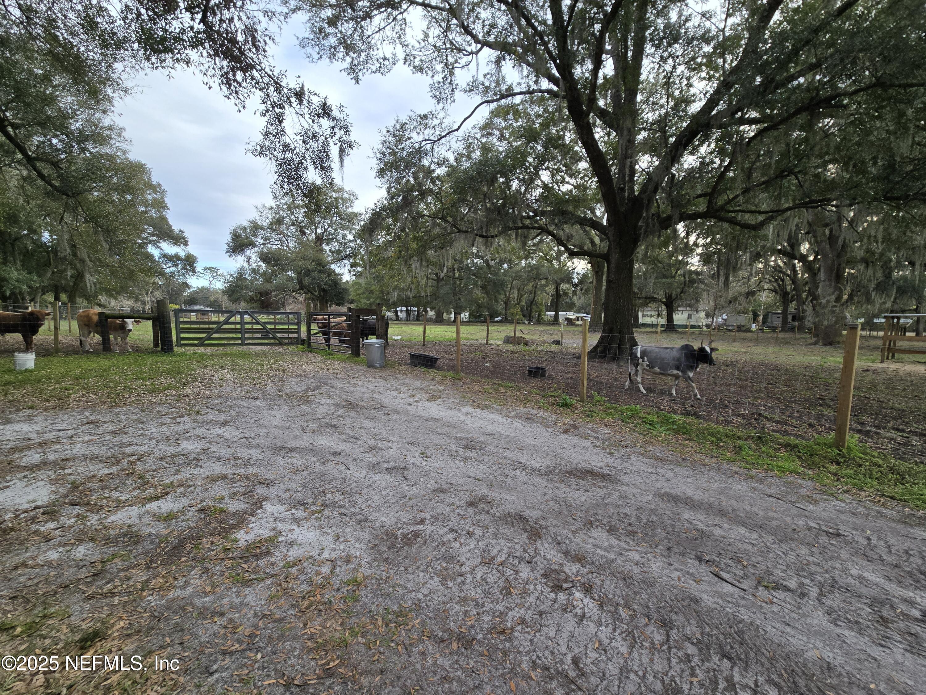 85050 Myrtice Road Yulee, FL 32097 - Photo 39 of 87 a backyard of a house with lots of green space