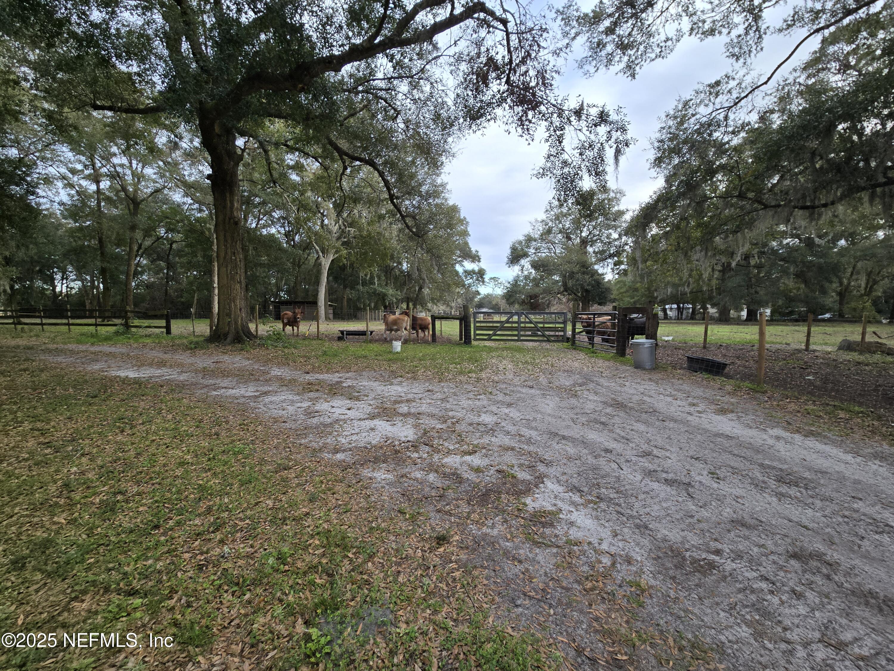 85050 Myrtice Road Yulee, FL 32097 - Photo 40 of 87 a view of a park with large trees