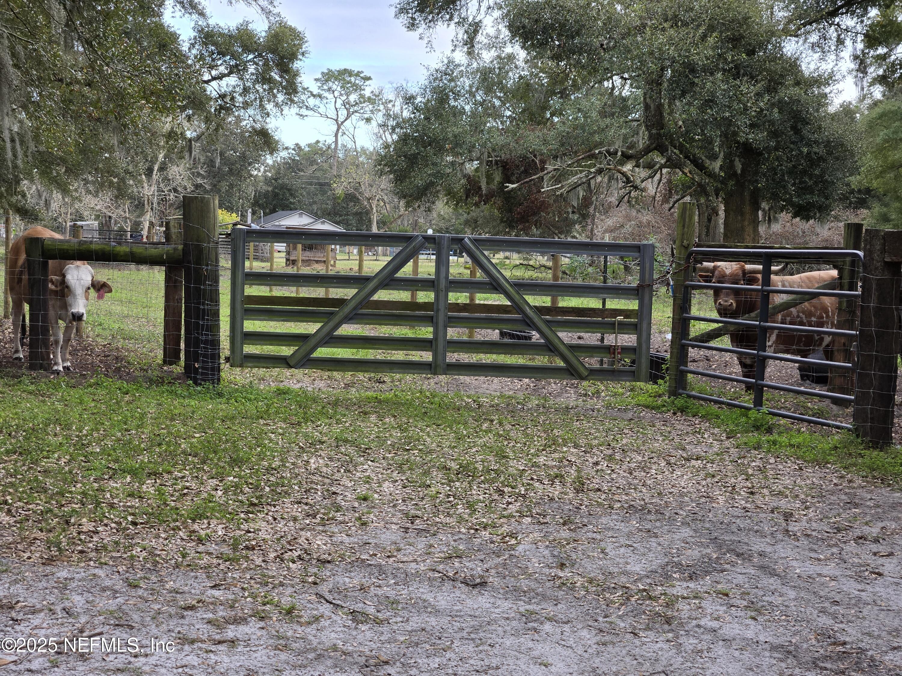 85050 Myrtice Road Yulee, FL 32097 - Photo 41 of 87 a view of outdoor space with deck and yard