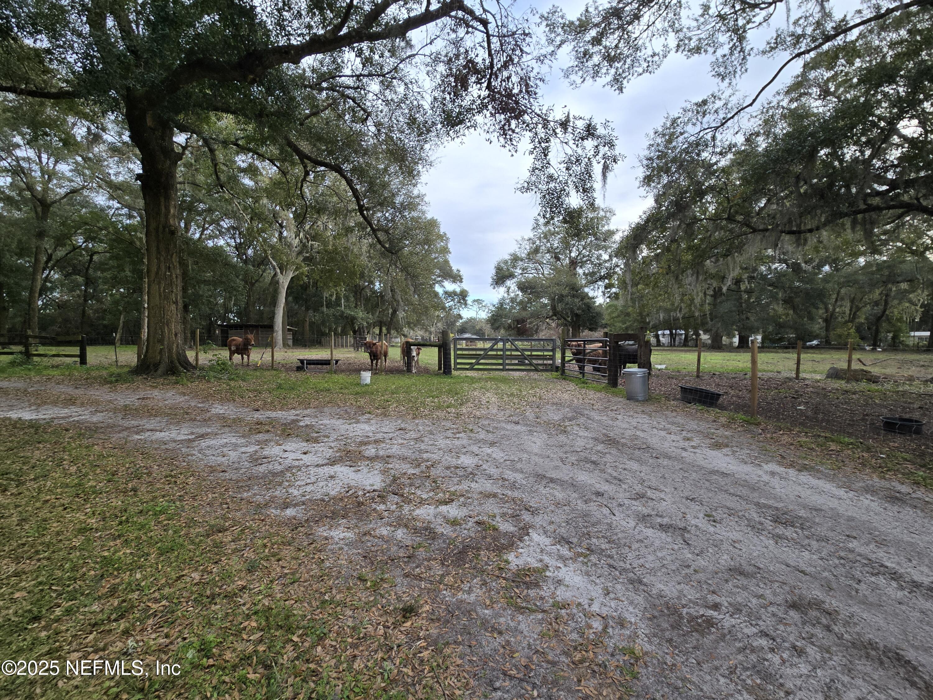 85050 Myrtice Road Yulee, FL 32097 - Photo 42 of 87 a view of park with trees