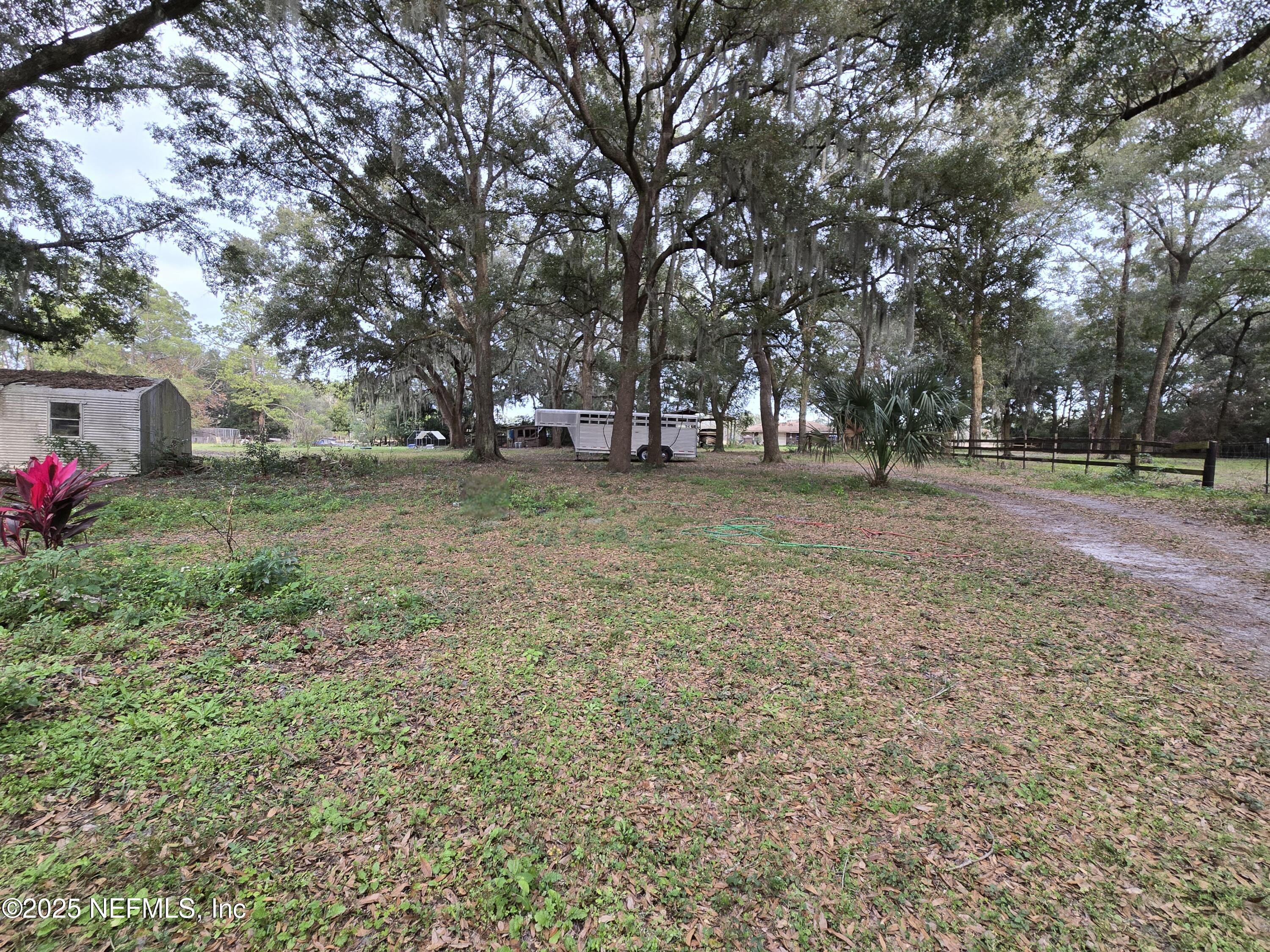 85050 Myrtice Road Yulee, FL 32097 - Photo 43 of 87 a view of a yard with a tree