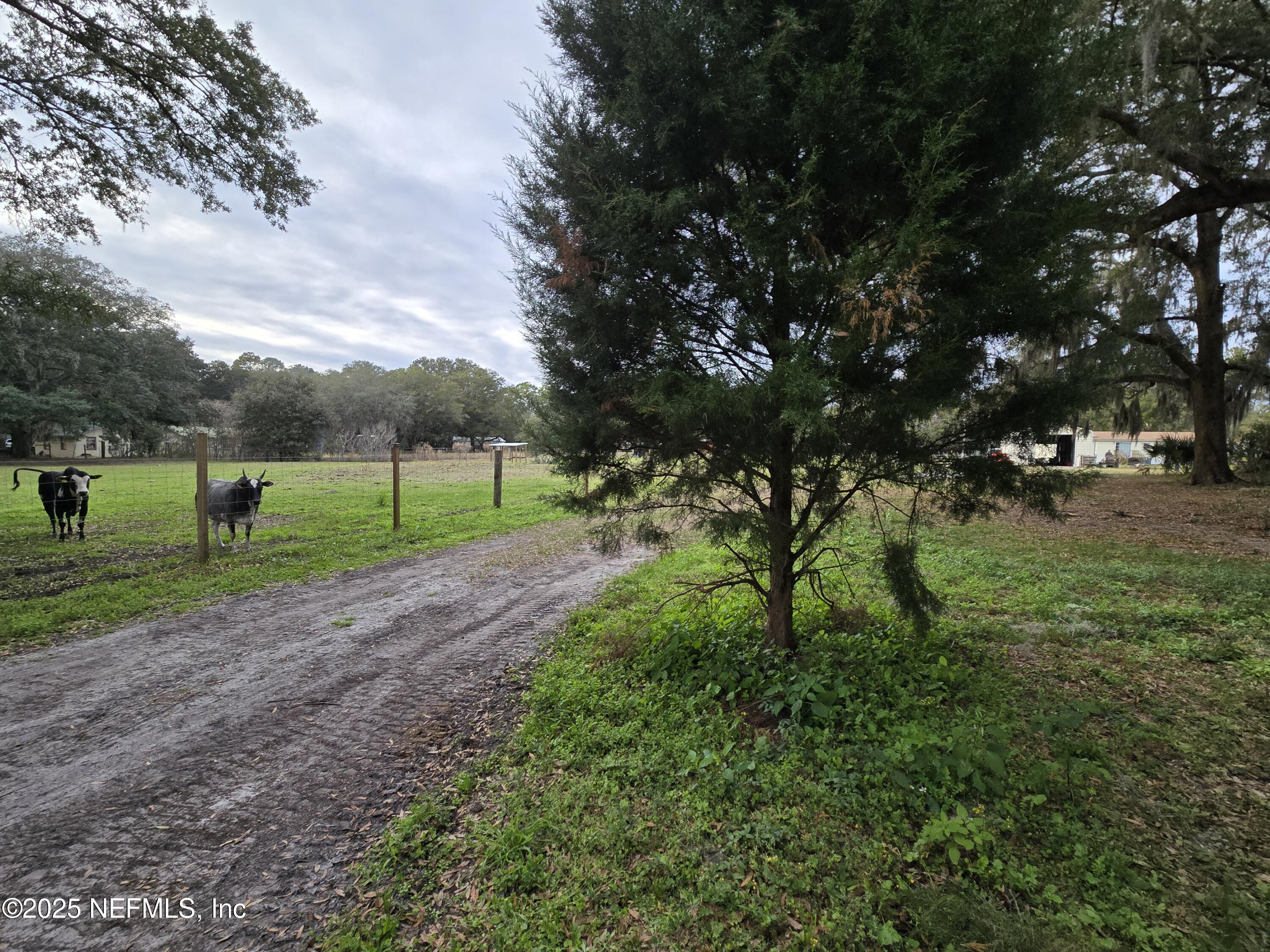 85050 Myrtice Road Yulee, FL 32097 - Photo 45 of 87 a view of a park