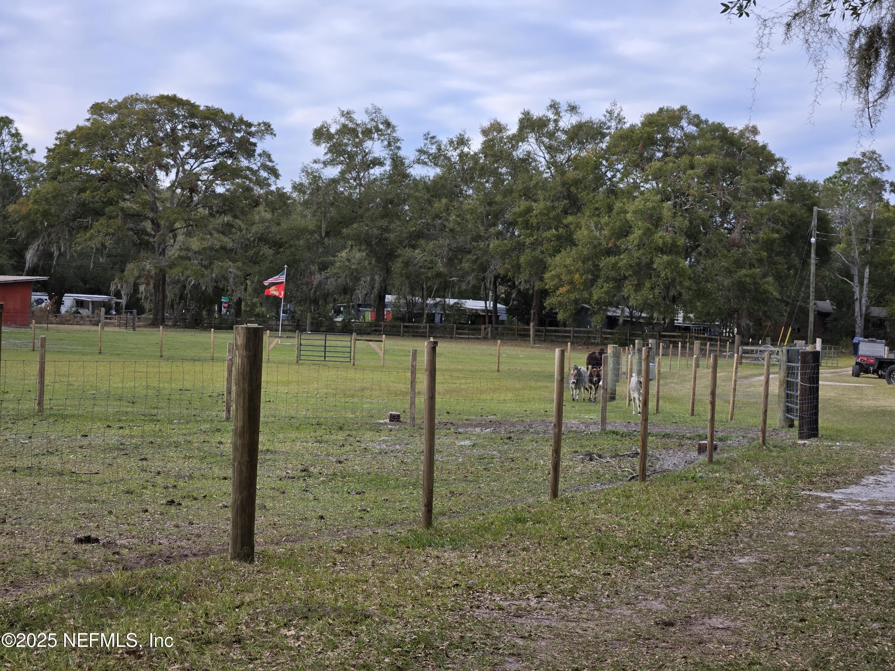 85050 Myrtice Road Yulee, FL 32097 - Photo 47 of 87 20250105_162333