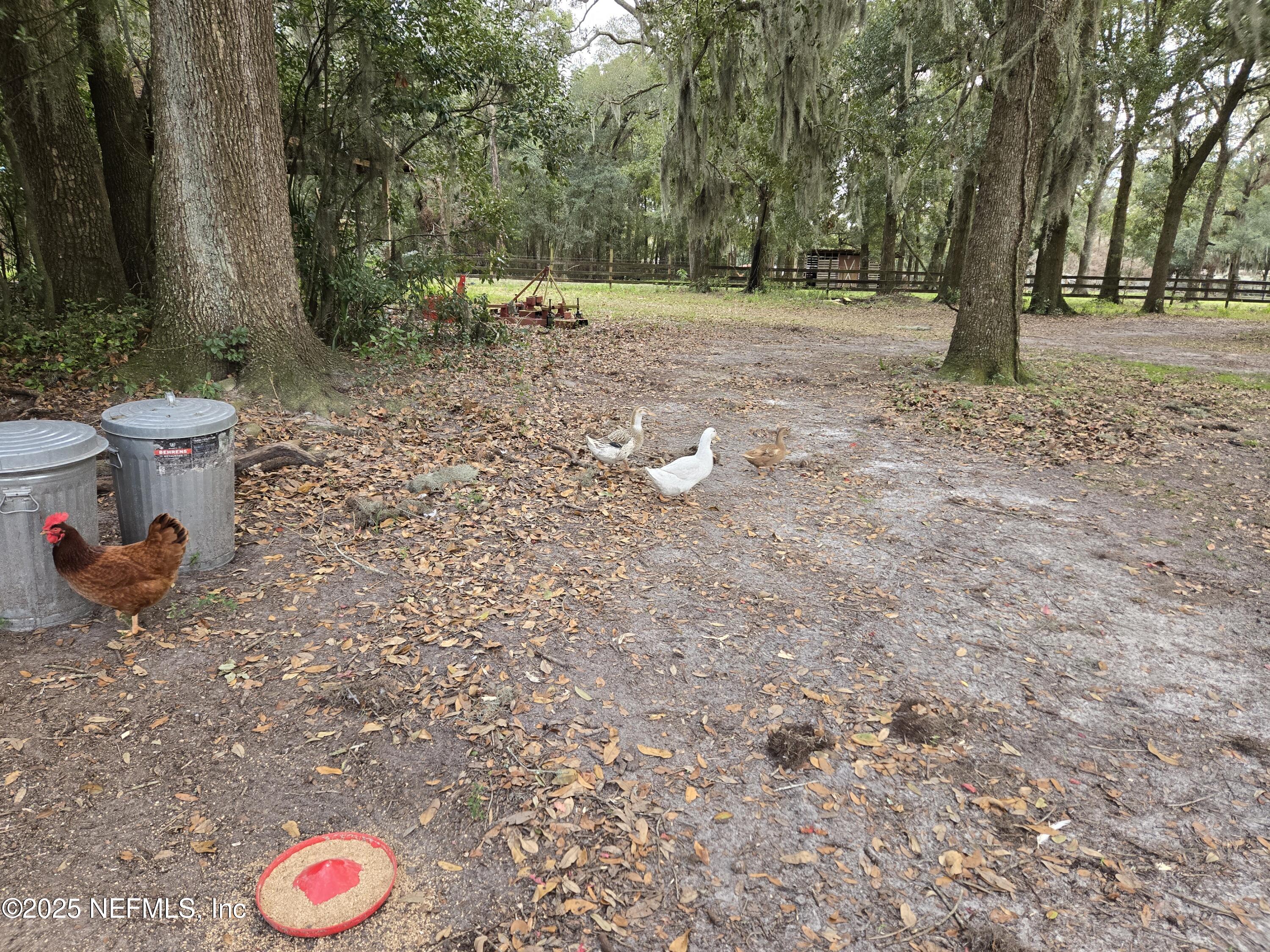 85050 Myrtice Road Yulee, FL 32097 - Photo 50 of 87 a view of outdoor space and yard