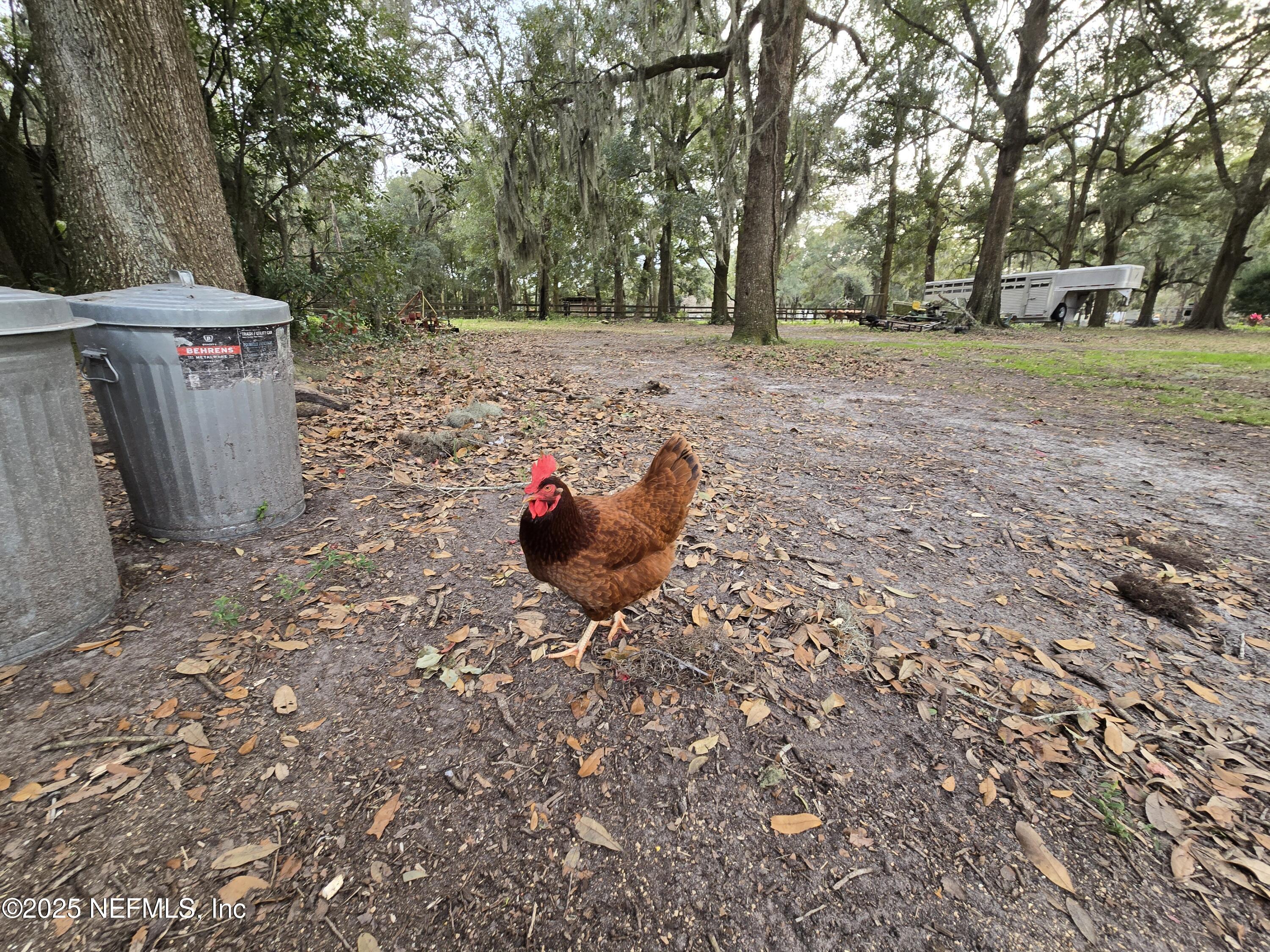 85050 Myrtice Road Yulee, FL 32097 - Photo 53 of 87 20250105_162744