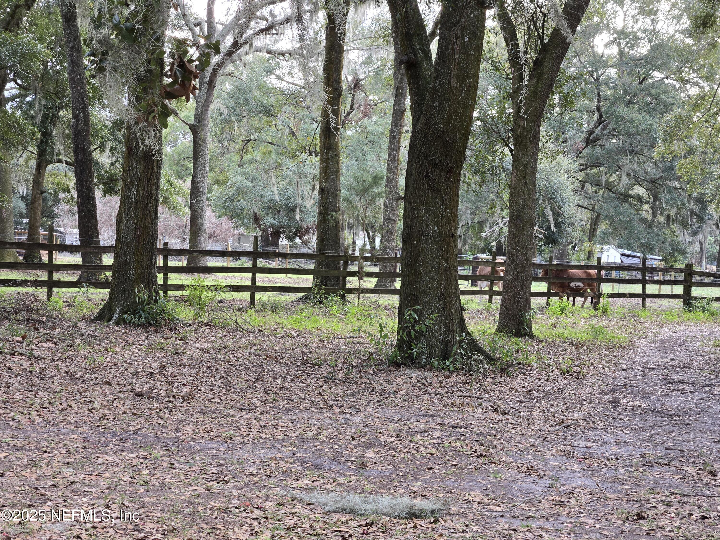 85050 Myrtice Road Yulee, FL 32097 - Photo 55 of 87 a view of a park with large trees