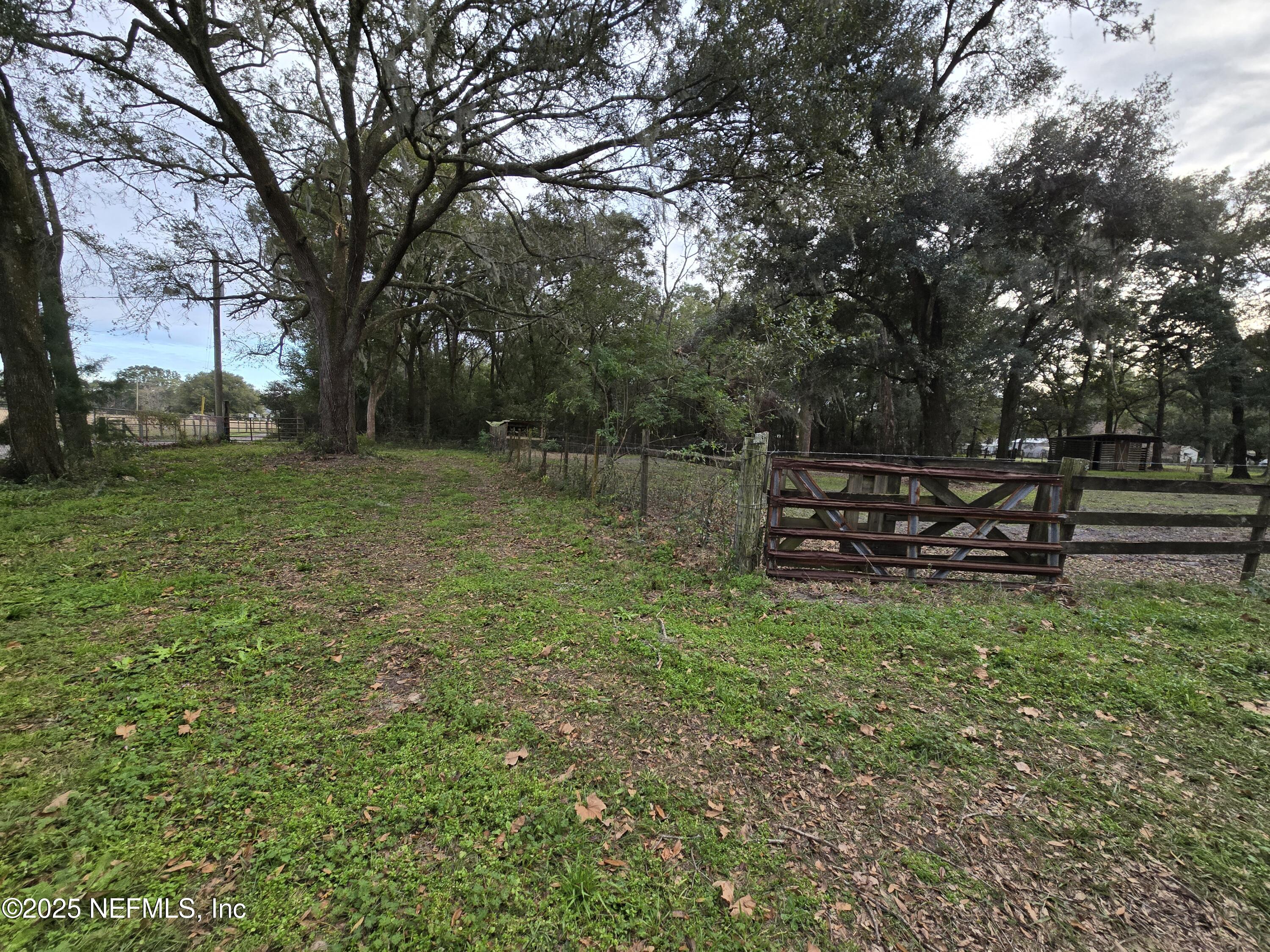 85050 Myrtice Road Yulee, FL 32097 - Photo 58 of 87 a view of a backyard with wooden fence