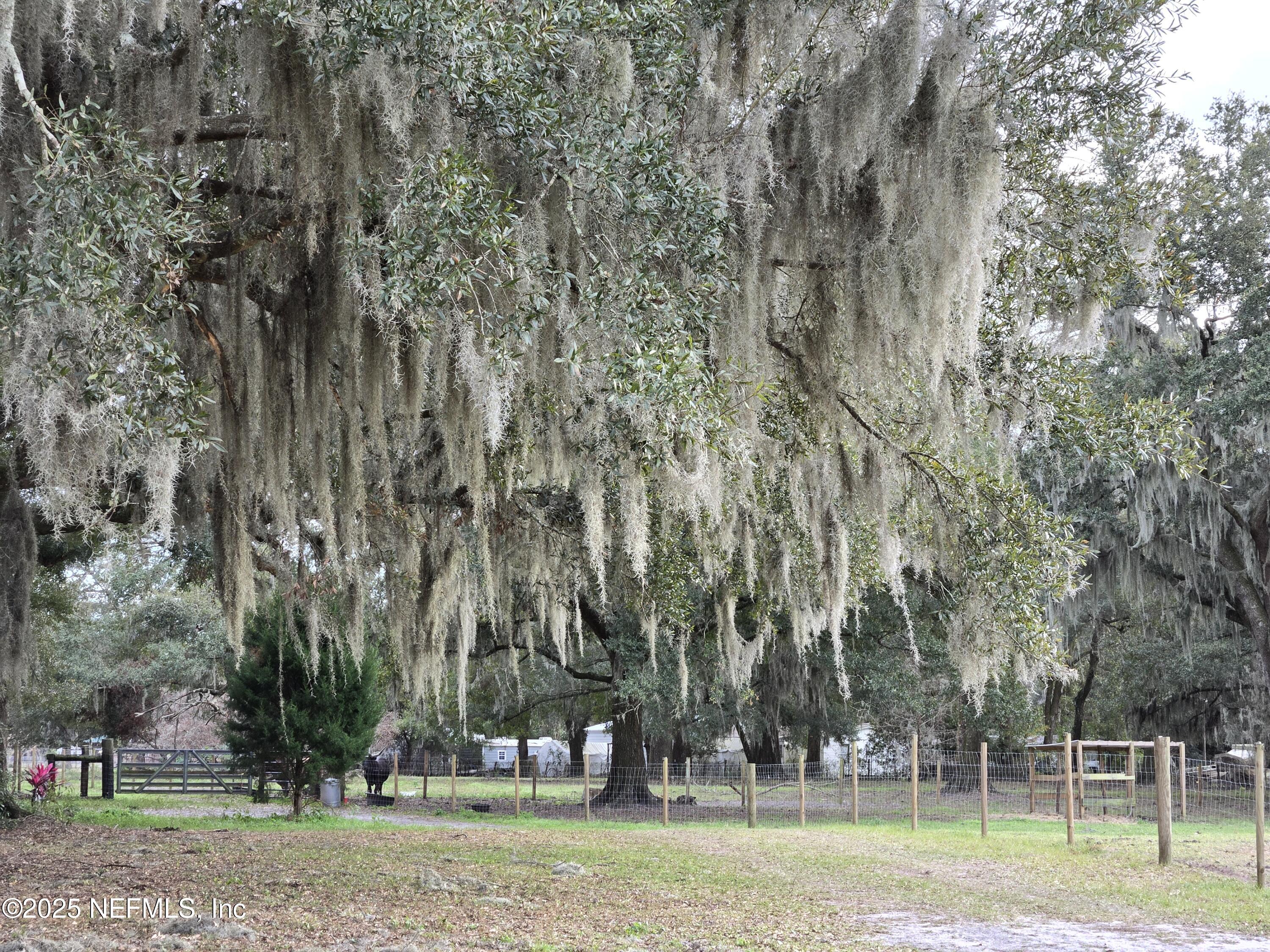85050 Myrtice Road Yulee, FL 32097 - Photo 6 of 87 20250105_162033