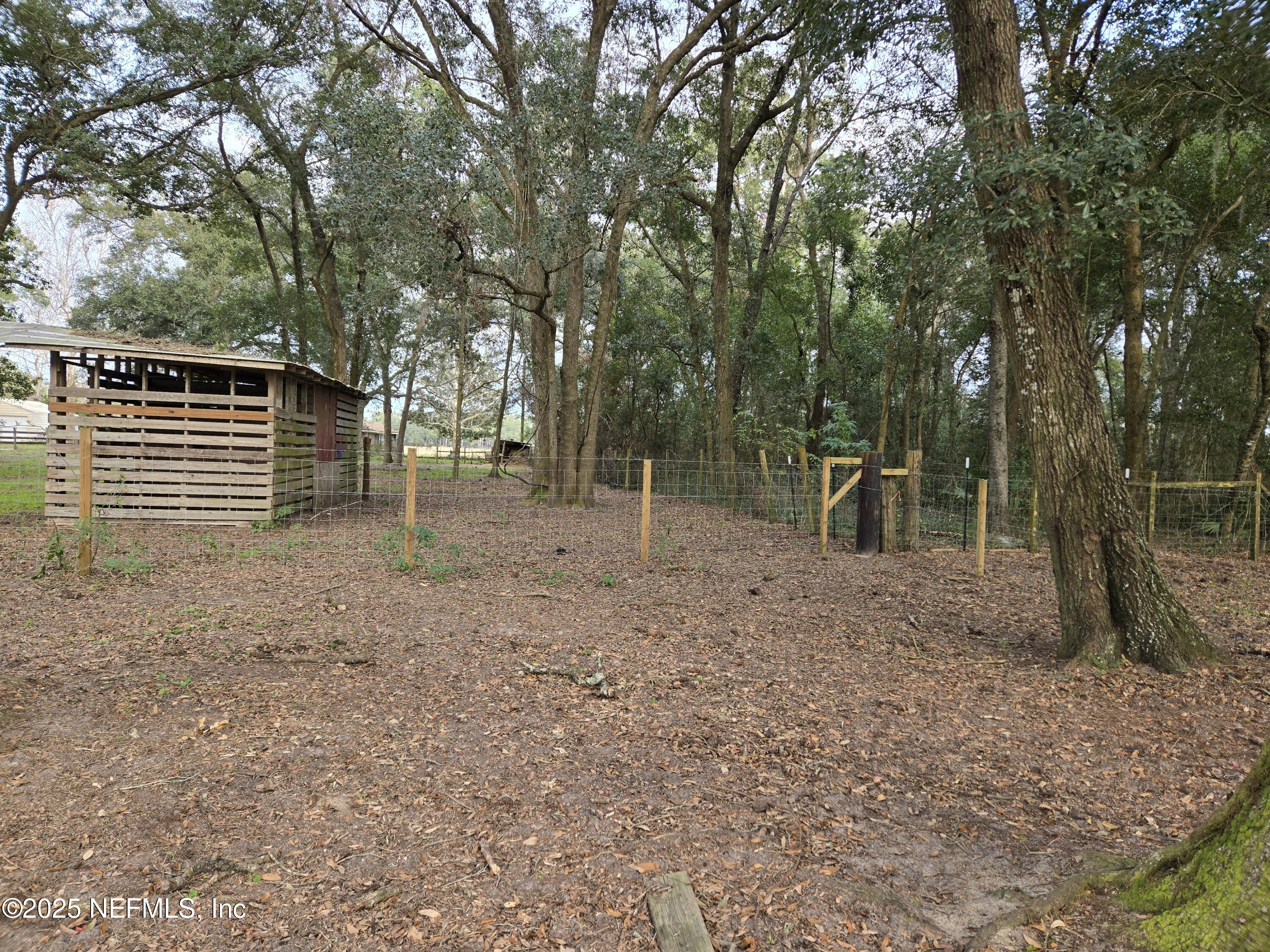 85050 Myrtice Road Yulee, FL 32097 - Photo 67 of 87 a backyard of a house with lots of green space