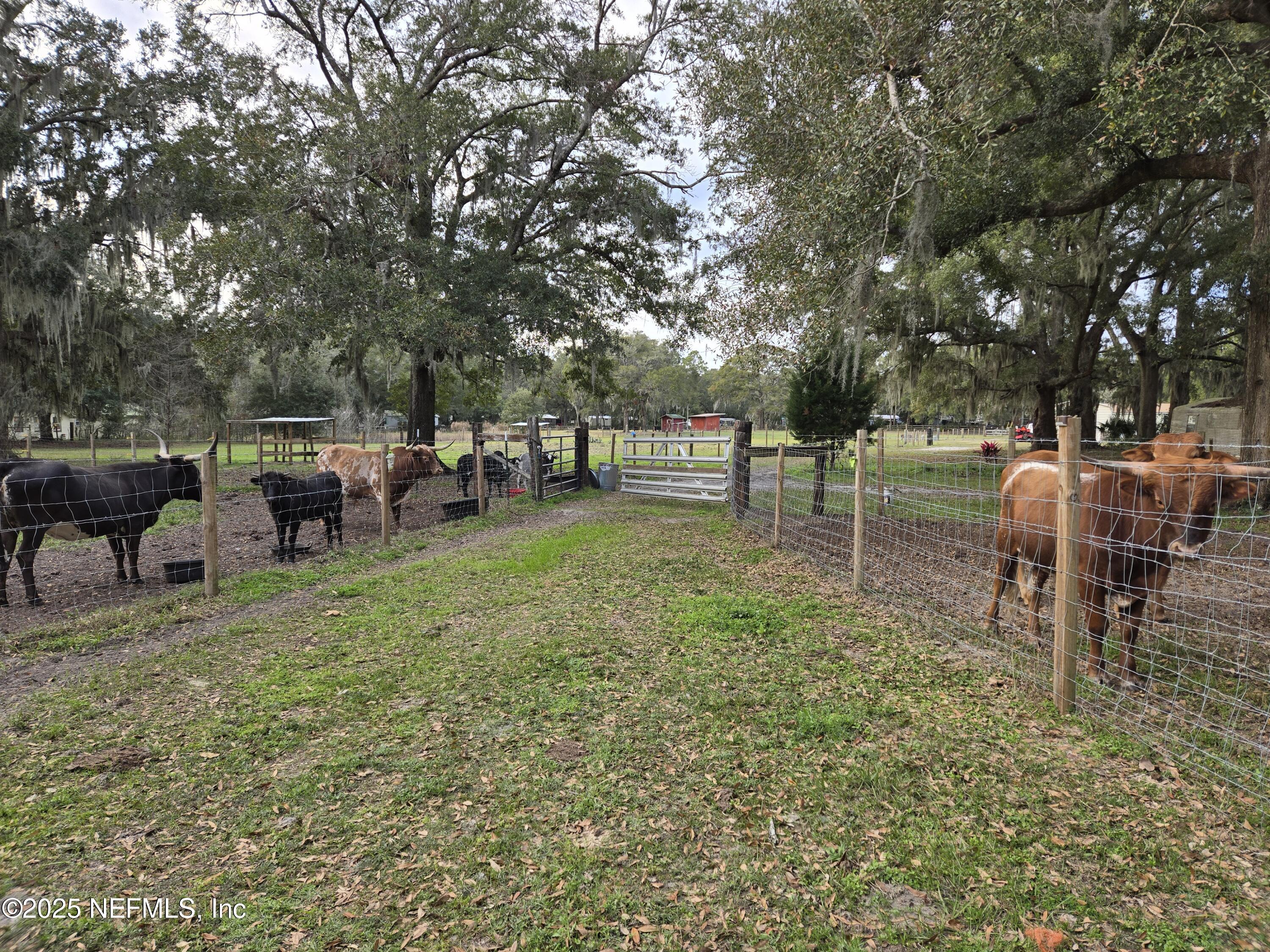 85050 Myrtice Road Yulee, FL 32097 - Photo 69 of 87 a view of a yard with a table and chairs
