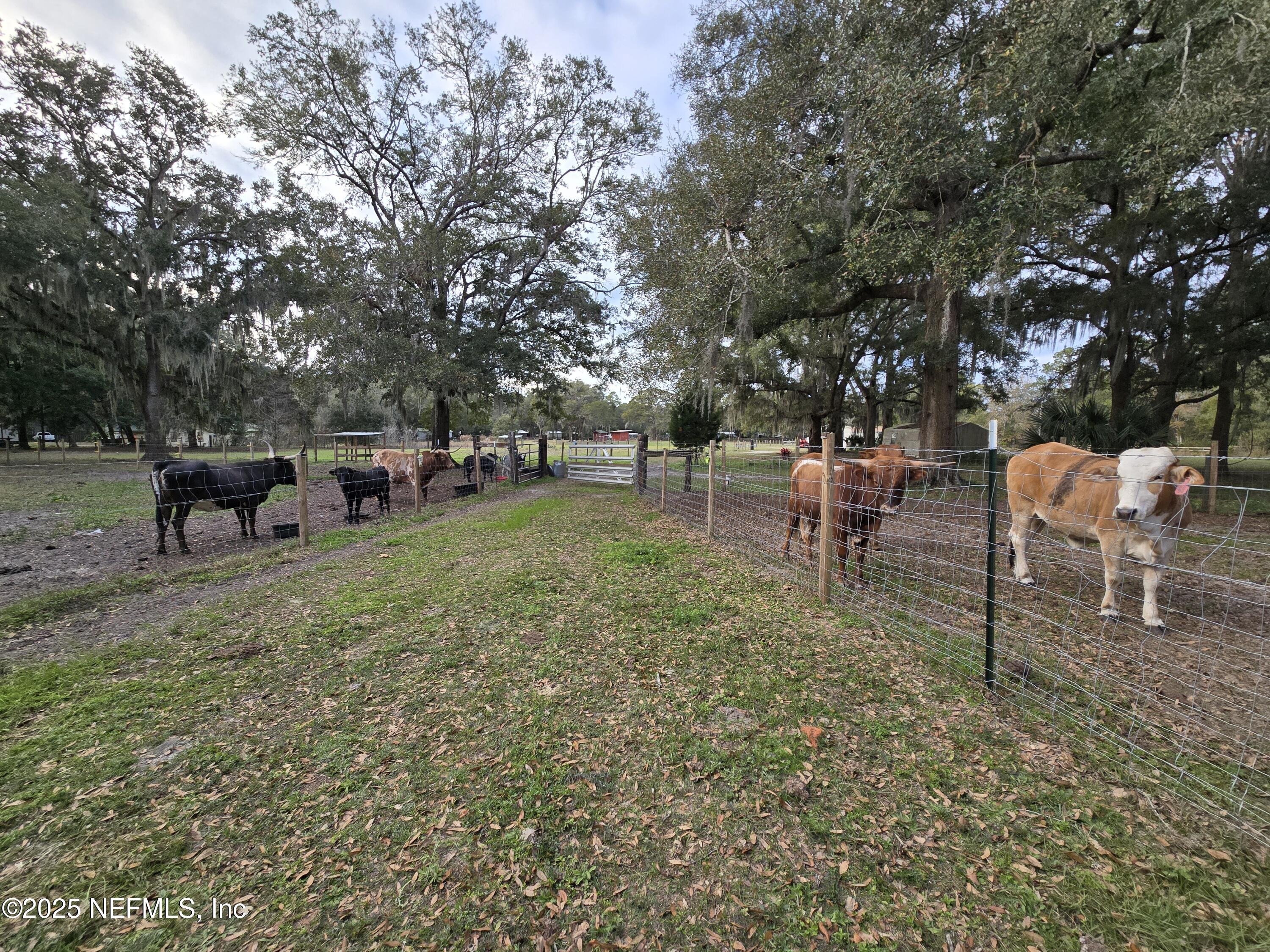 85050 Myrtice Road Yulee, FL 32097 - Photo 70 of 87 20250105_164107