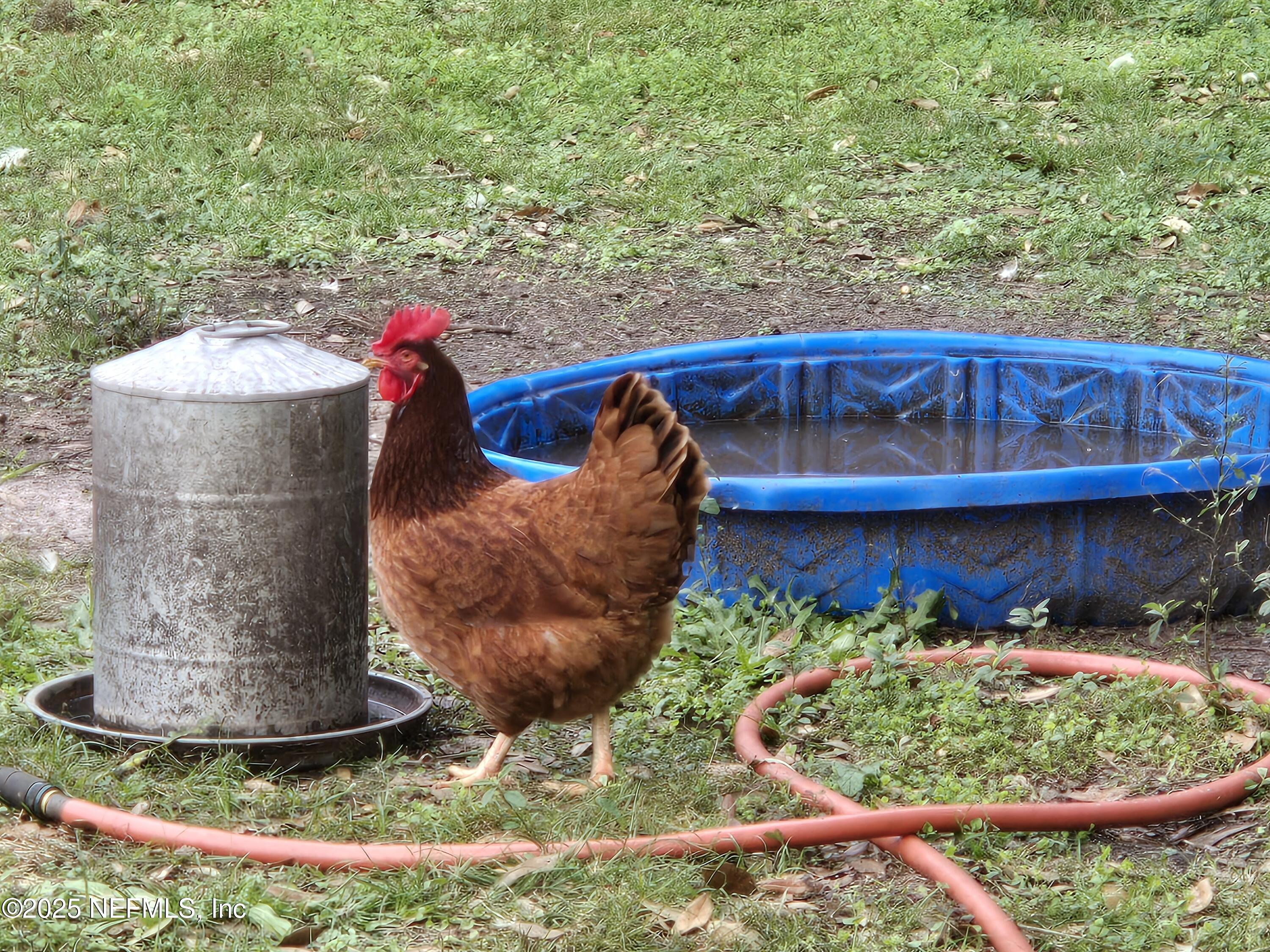 85050 Myrtice Road Yulee, FL 32097 - Photo 7 of 87