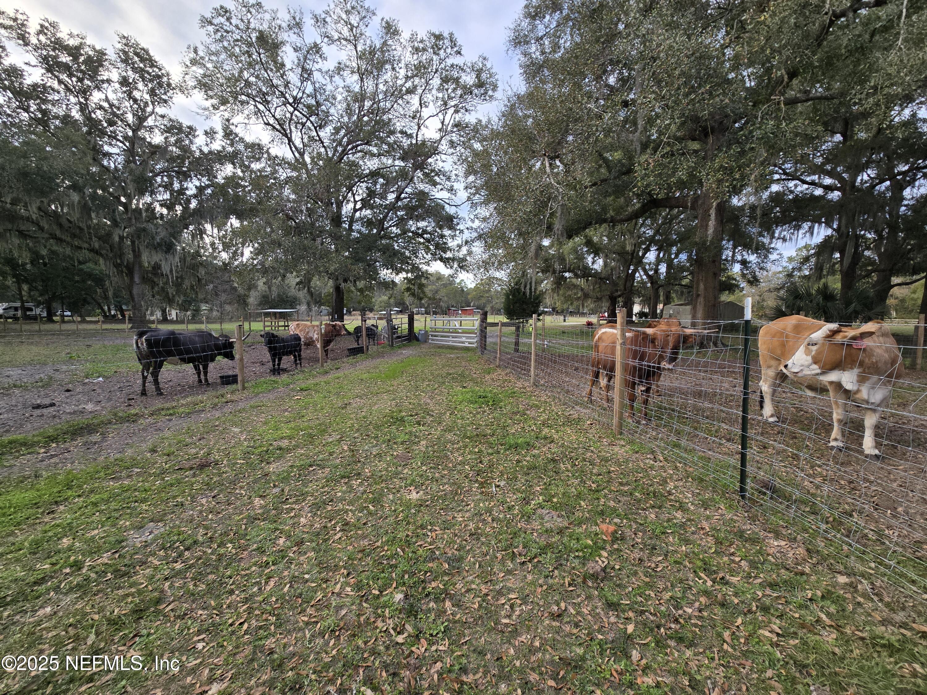 85050 Myrtice Road Yulee, FL 32097 - Photo 71 of 87 a view of a park with benches