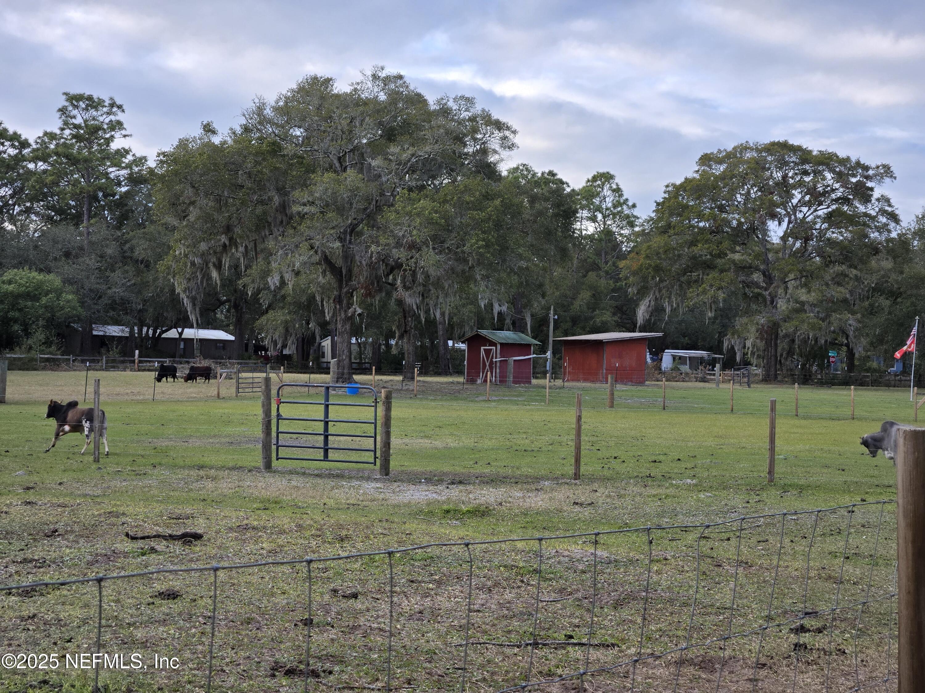 85050 Myrtice Road Yulee, FL 32097 - Photo 75 of 87 a view of a park with large trees