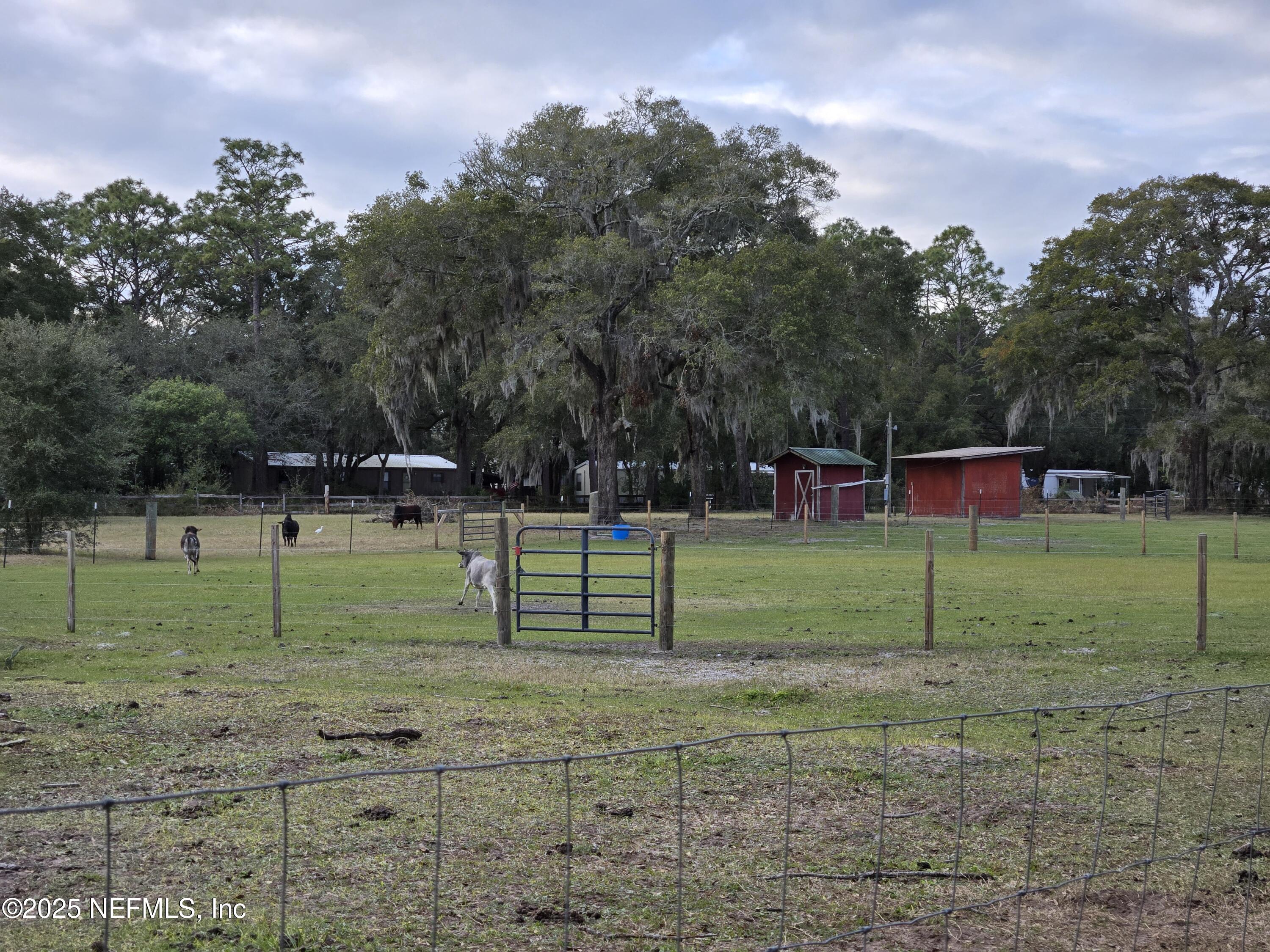 85050 Myrtice Road Yulee, FL 32097 - Photo 76 of 87 a view of a park with large trees