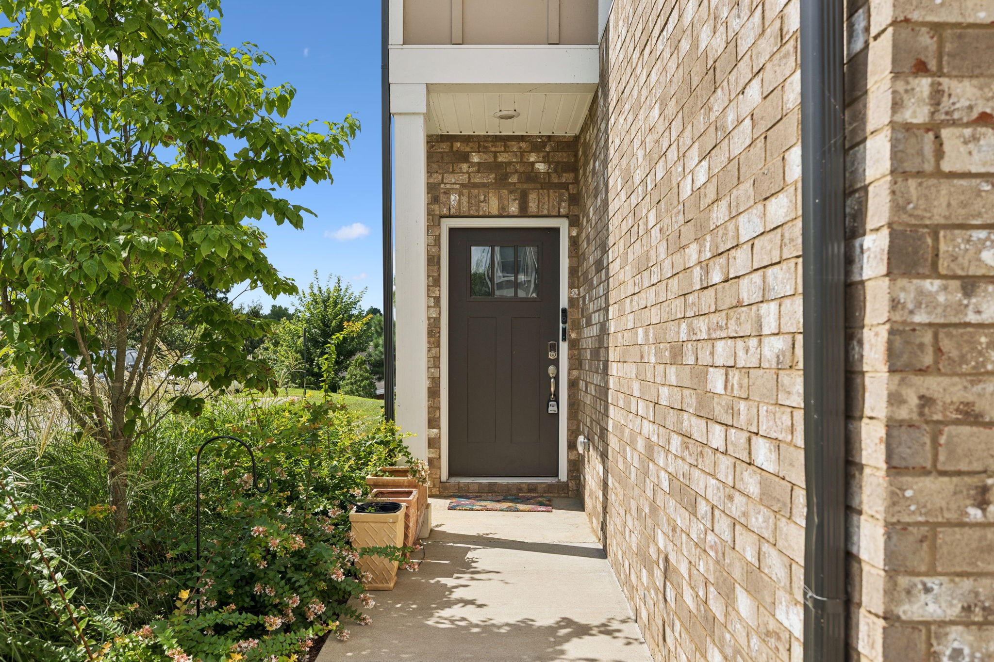 862 Longleaf Lane Columbia, TN 38401 - Photo 29 of 35 a front view of a house with a yard