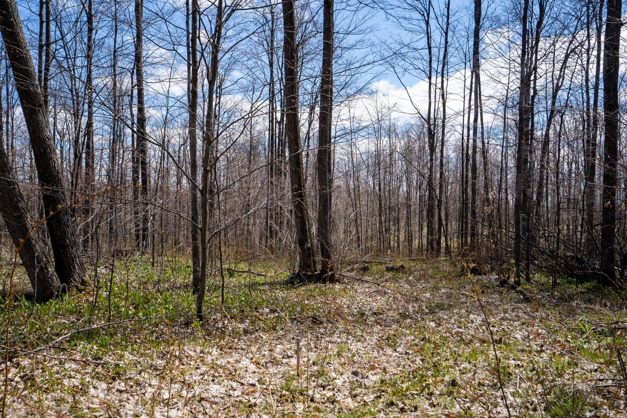 South Durkalic Road Pellston, MI 49769 - Photo 15 of 32