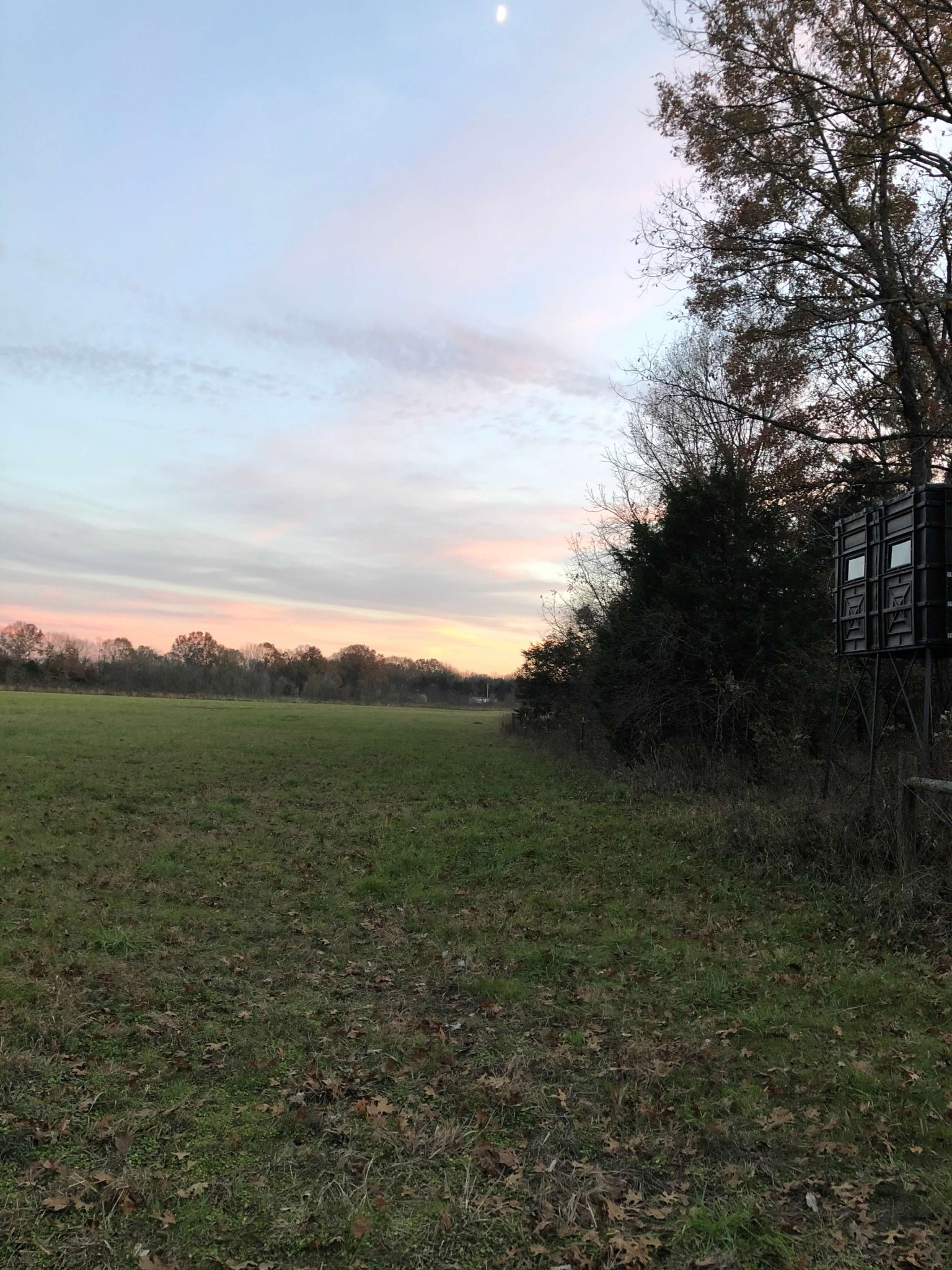 332 John Shaw Road Lewisburg, TN 37091 - Photo 86 of 87