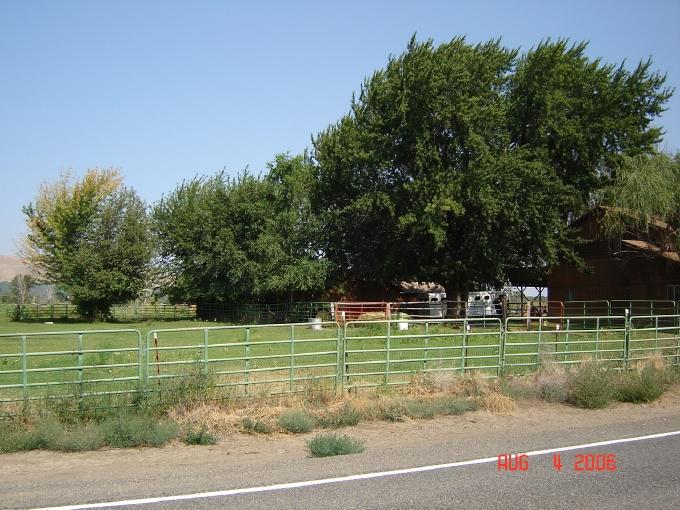 1291 North Track Road Wapato, WA 98951 - Photo 14 of 18 a view of a tennis ground with a large trees