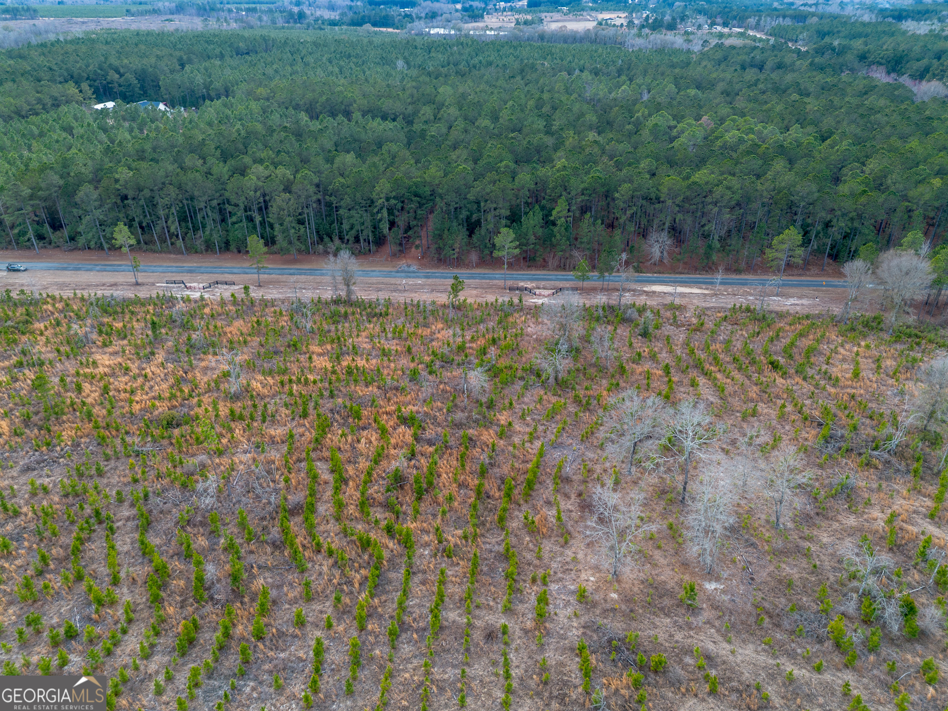 3 Bell Line Road Eastman, GA 31023 - Photo 3 of 8 a view of a yard with trees
