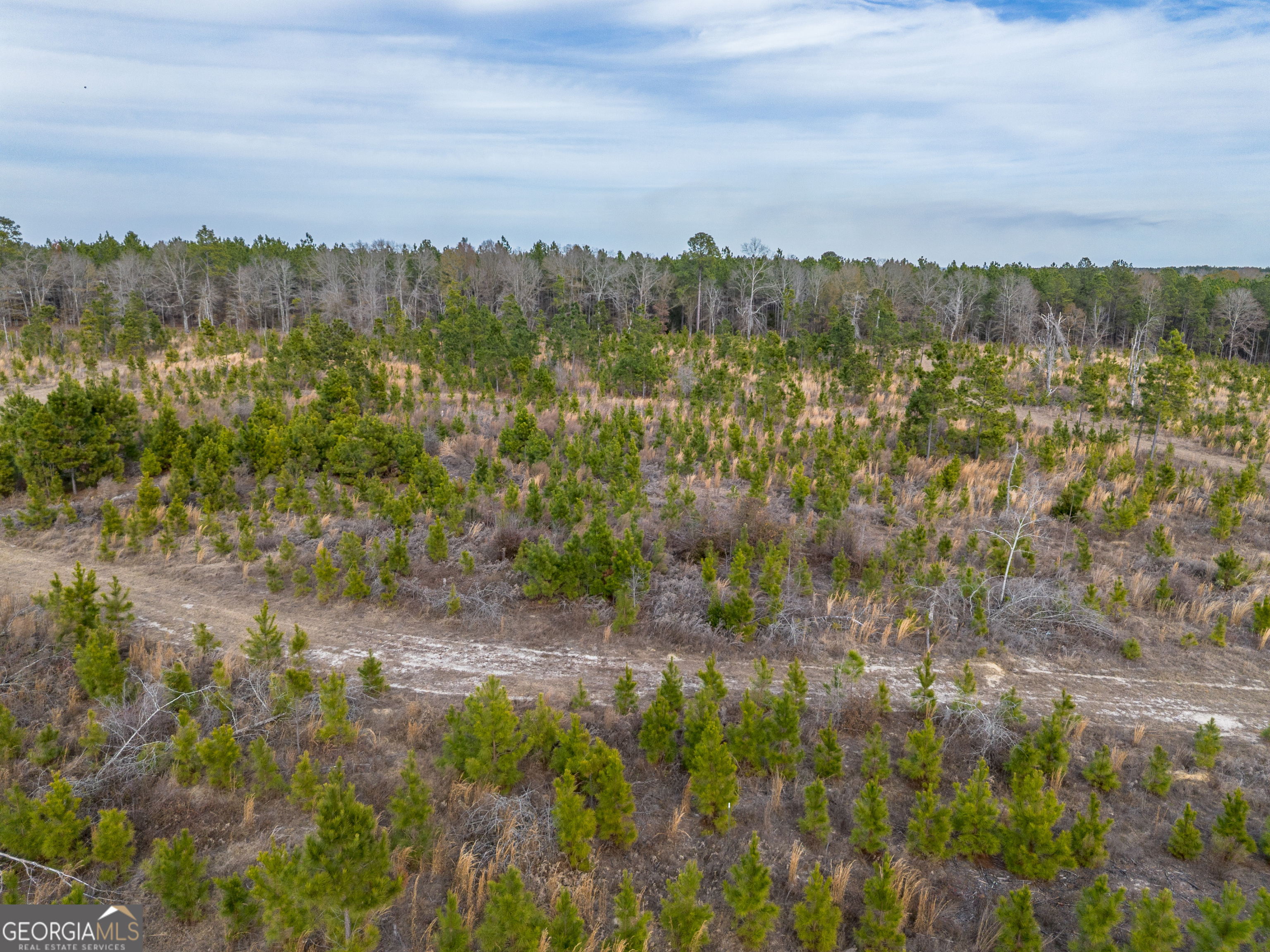 3 Bell Line Road Eastman, GA 31023 - Photo 4 of 8