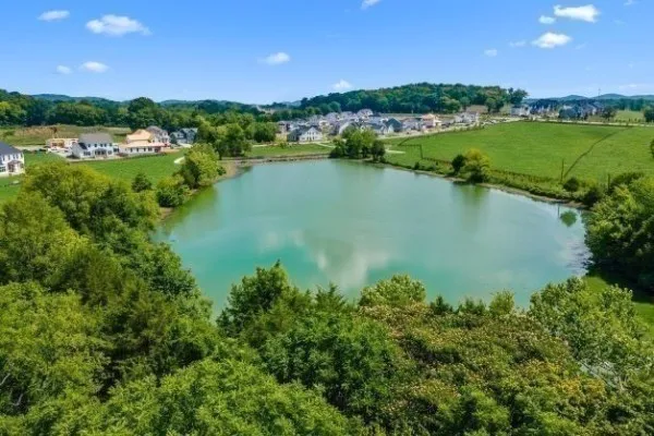 $989,000 | 1988 Ellsworth Lane, Arrington, TN 37014