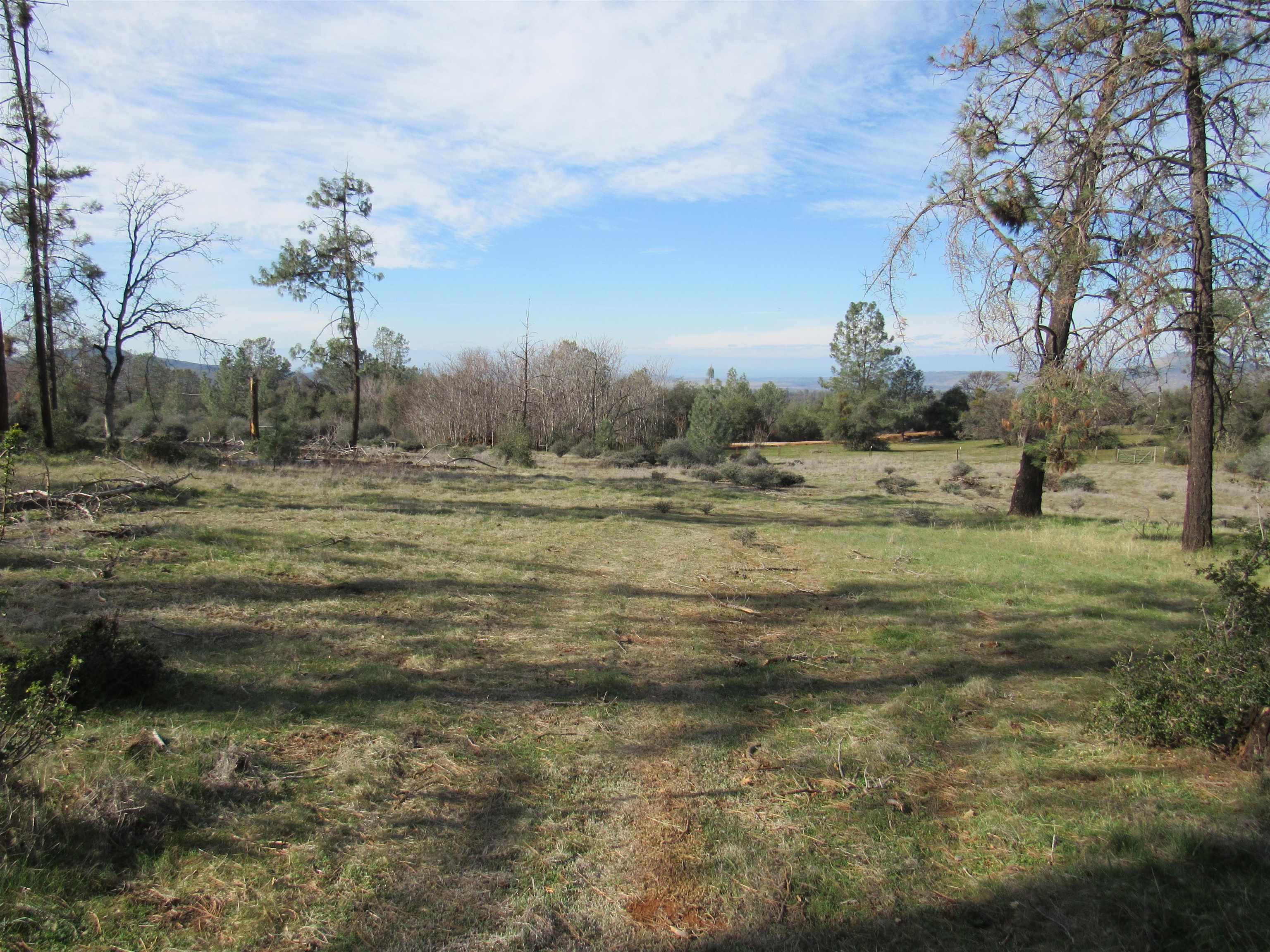 21635 South Powerhouse Road Manton, CA 96059 - Photo 31 of 36