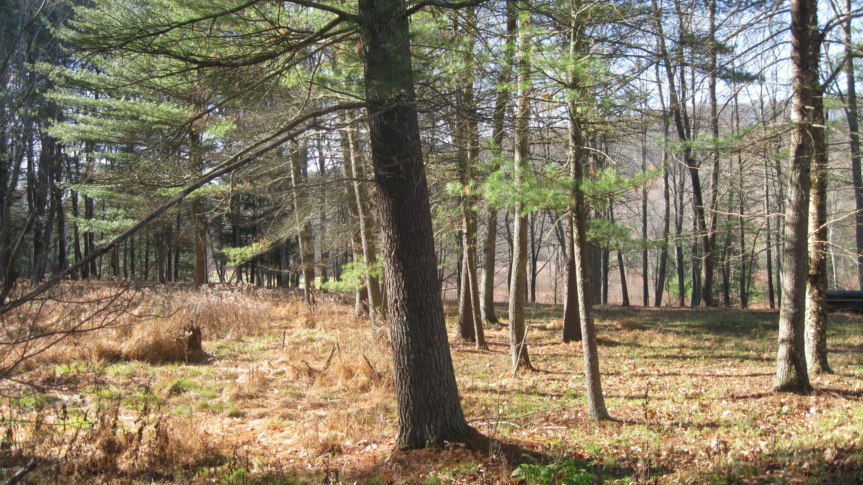 Harvey Road Shickshinny, PA 18655 - Photo 4 of 5 a view of a yard with plants and trees