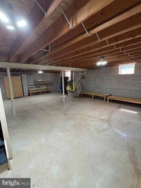 1007 Bucks Road Perkasie, PA 18944 - Photo 41 of 48 Full Basement
