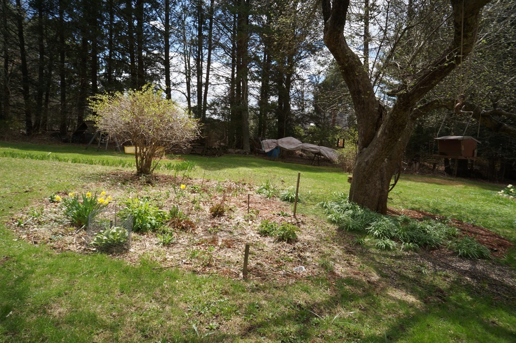 341 Red Acre Road Stow, MA 01775 - Photo 5 of 11