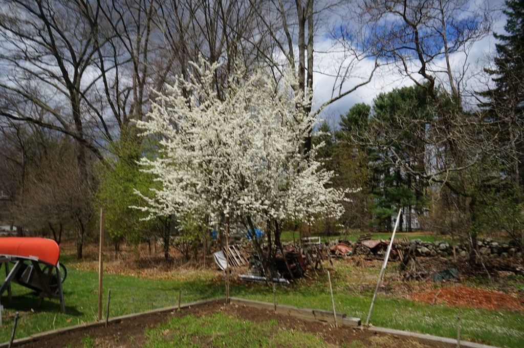 341 Red Acre Road Stow, MA 01775 - Photo 7 of 11