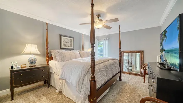 a spacious bedroom with a bed a chair and potted plant on the dresser