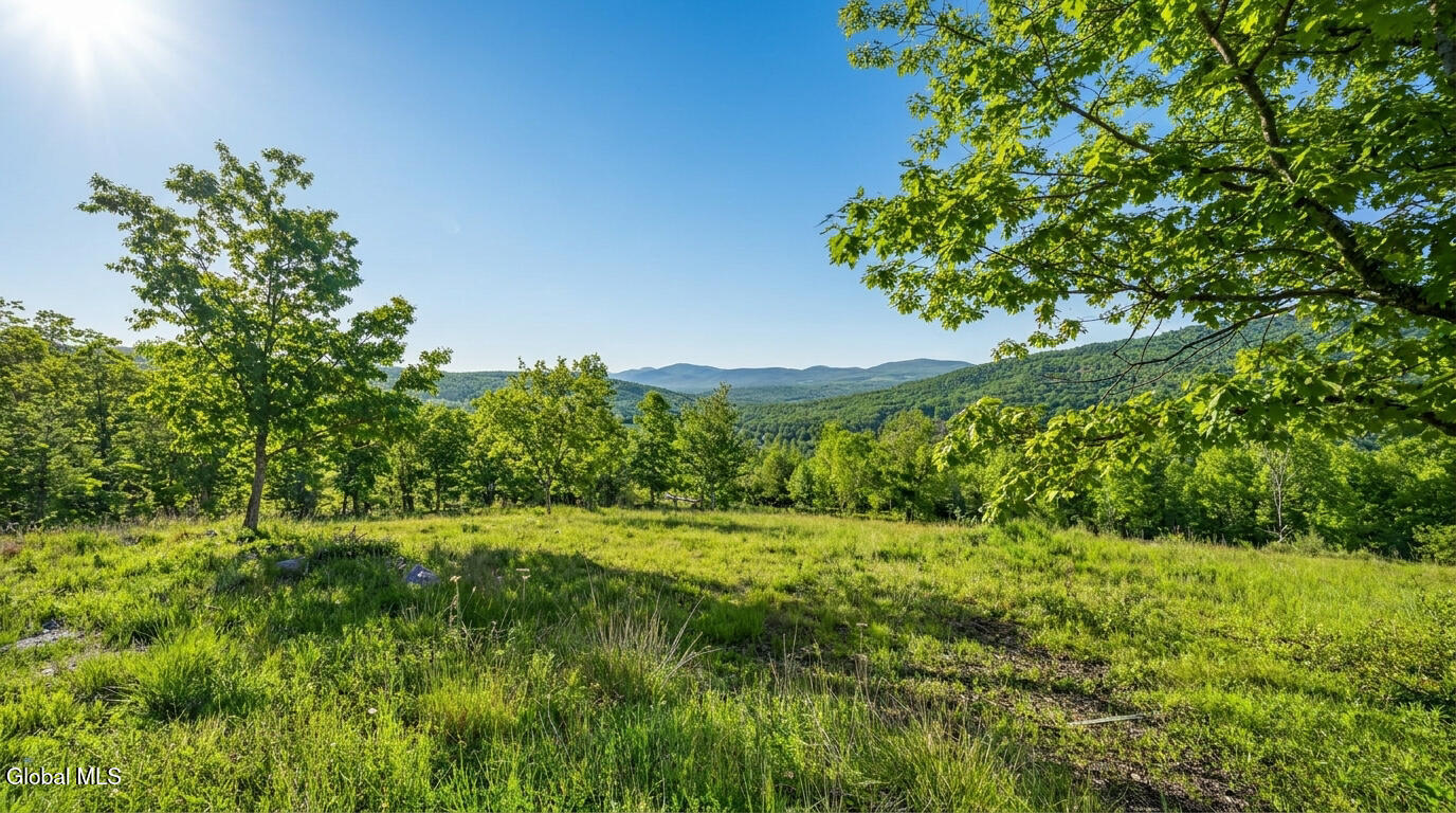 L10.10 Cheese Hill Road Preston Hollow, NY 12469 - Photo 11 of 56 10.10-Cheese-Hill-Rd-Rensselaerville-ext