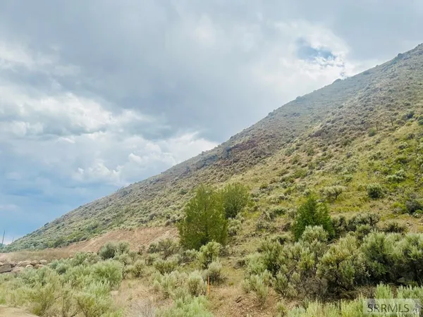 $170,000 | Tbd Diamond Creek Road, Salmon, ID 83467
