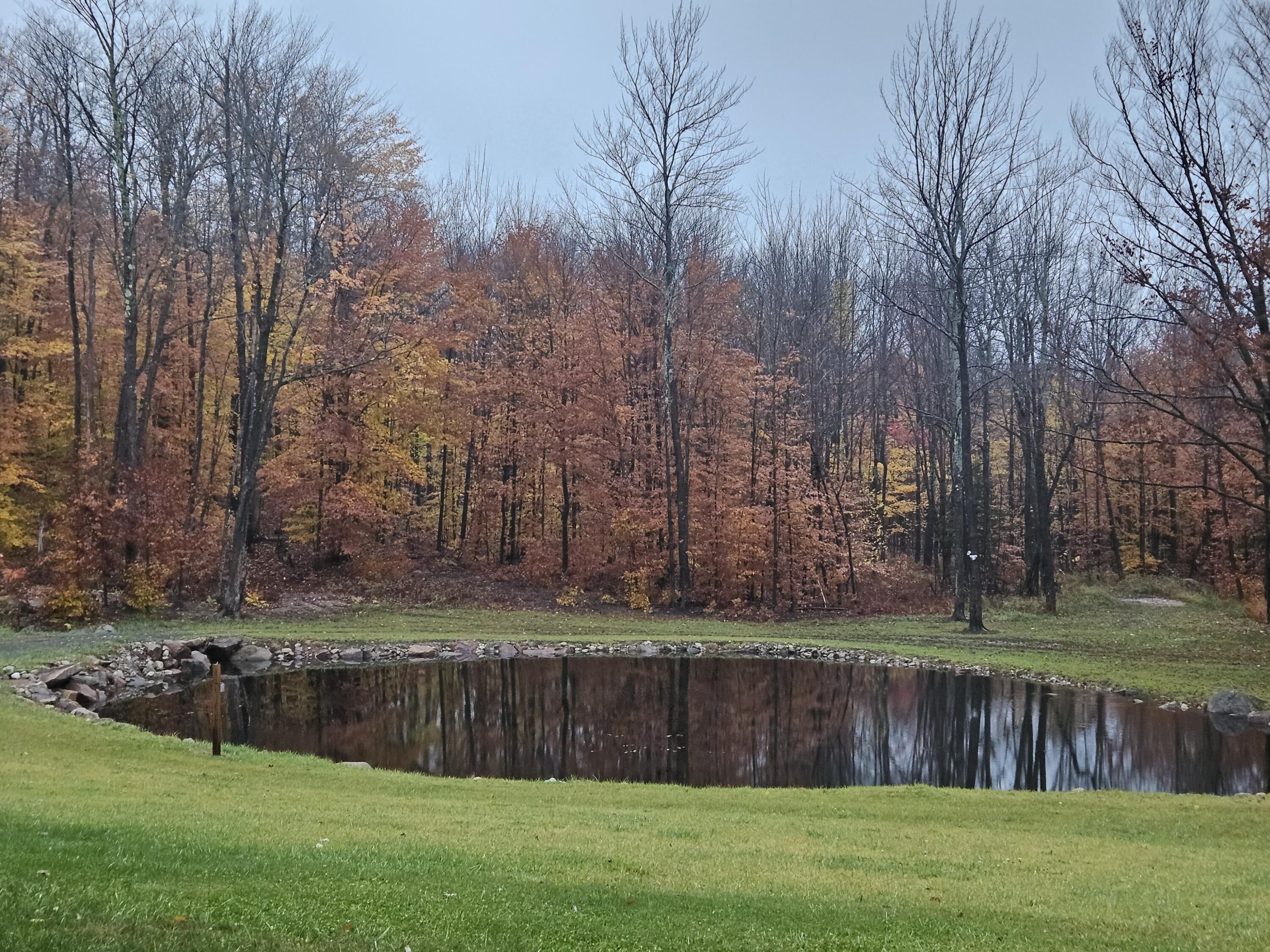 58 Hewitt Road St. Regis Falls, NY 12980 - Photo 75 of 126
