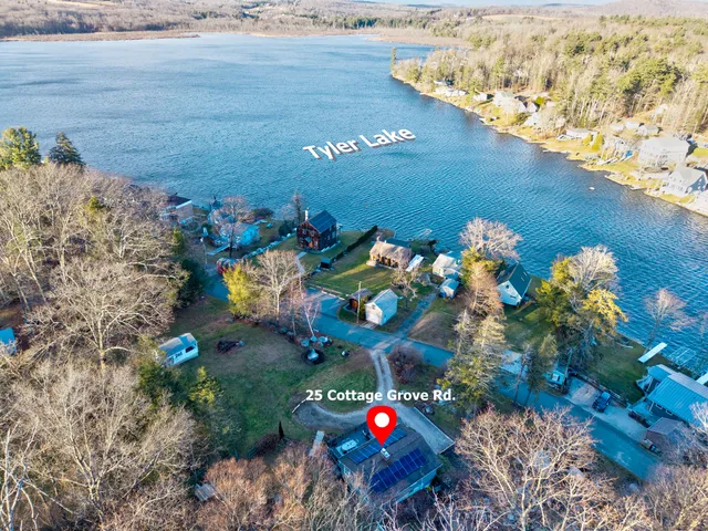 a close up of a flower