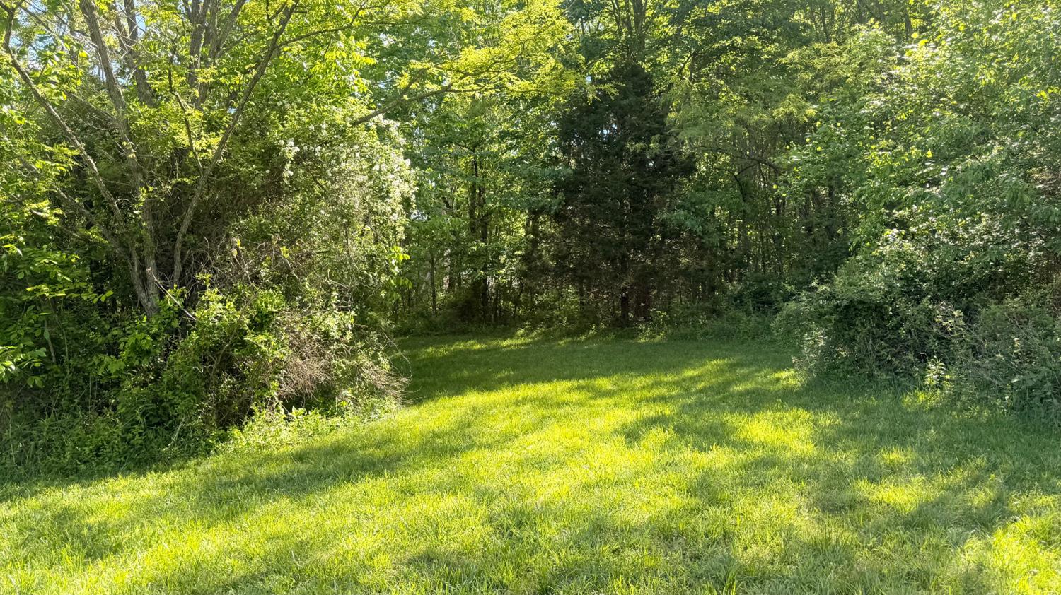 14694 Leive Road Canaan, IN 47224 - Photo 21 of 63