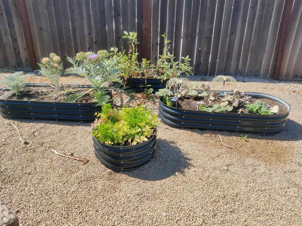 2396 Glenview Drive Hollister, CA 95023 - Photo 13 of 13 a front view of a house with a yard