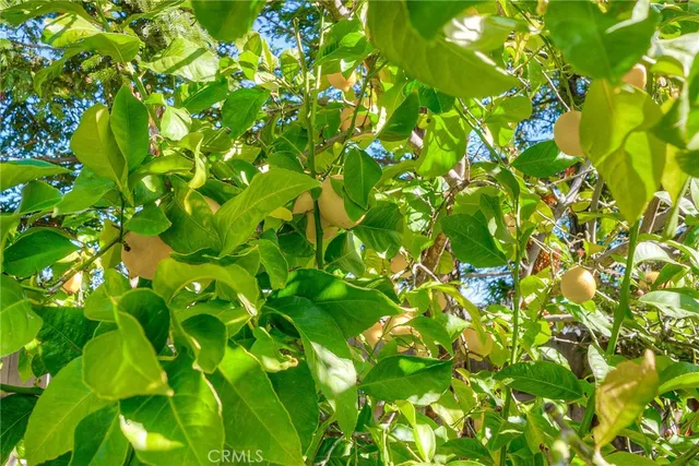 $460,000 | 5244 Gold Spring Court, Oroville, CA 95966