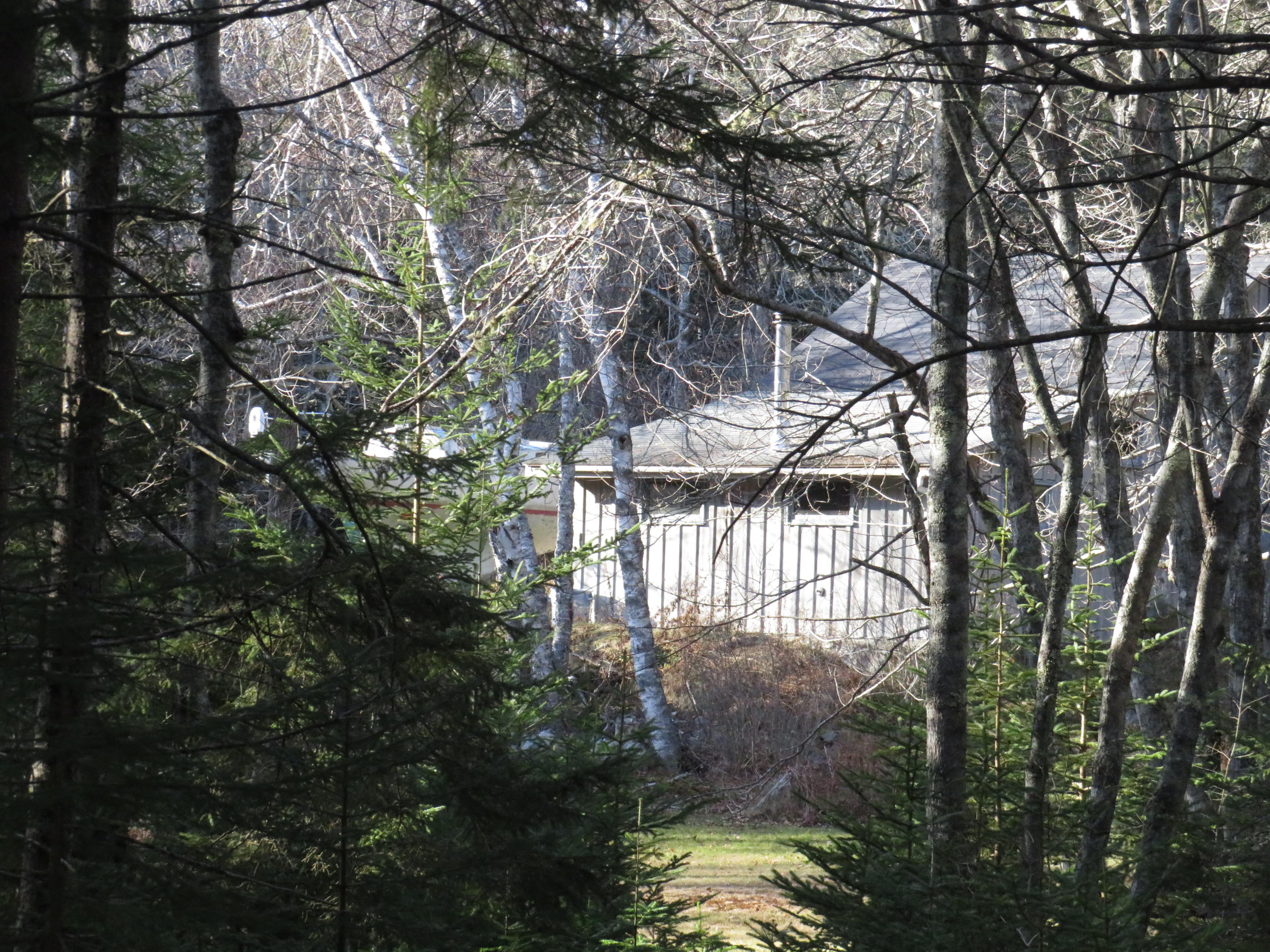 116 Glenmere Road St. George, ME 04860 - Photo 20 of 23 from the woods