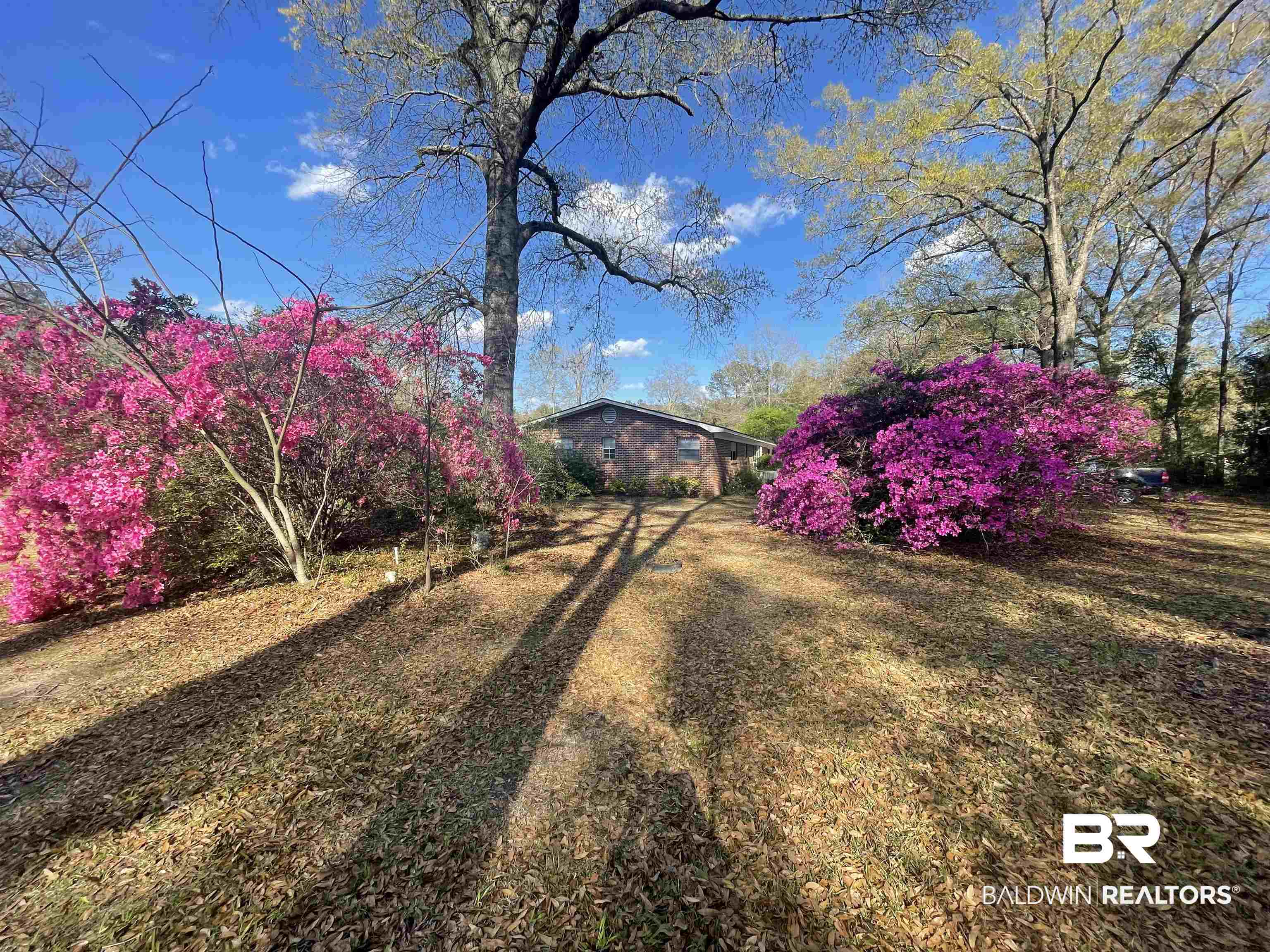 98 White Road Brewton, AL 36426 - Photo 48 of 49