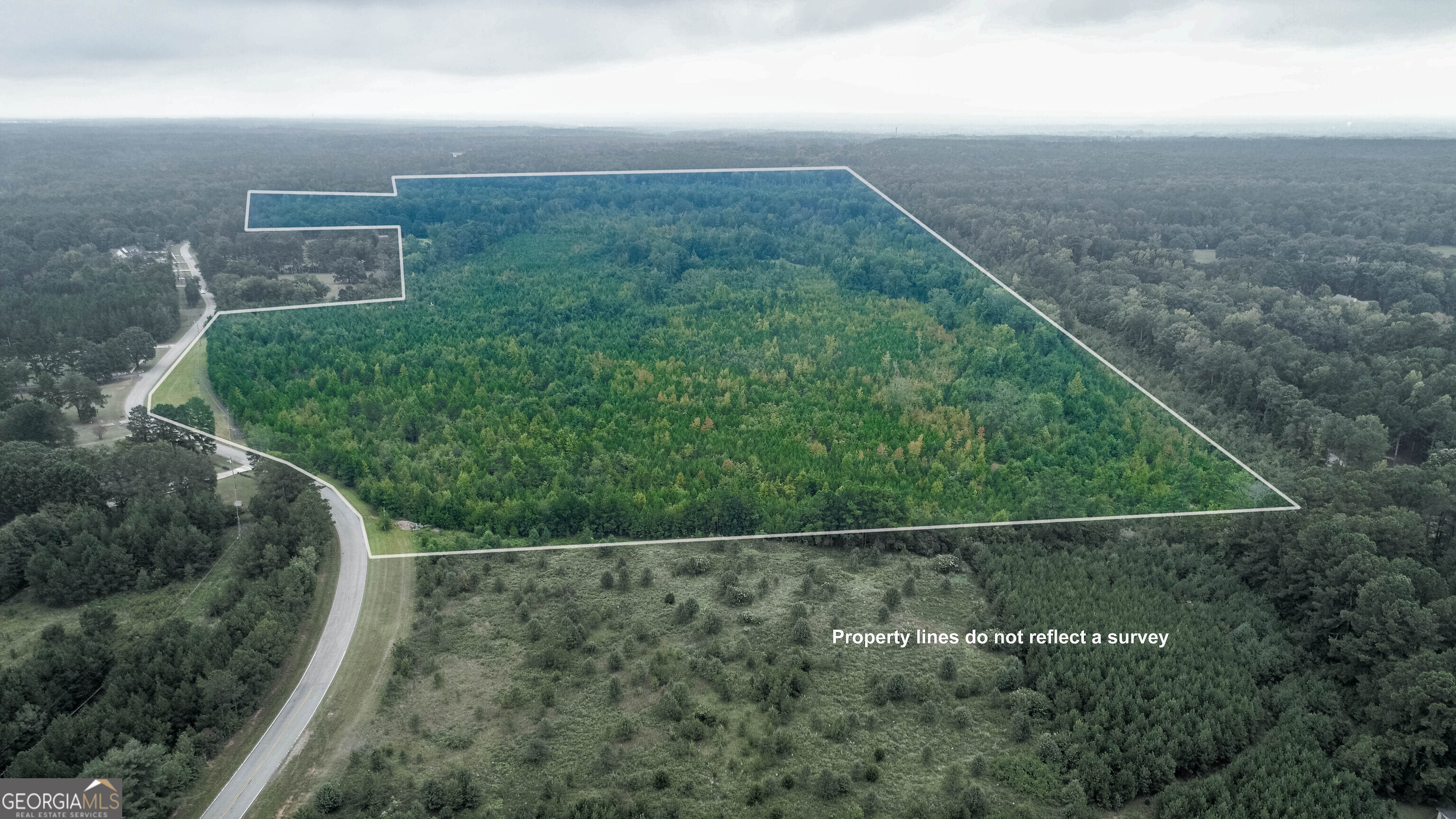 0 Mt Carmel Road Hampton, GA 30228 - Photo 11 of 12 a view of a backyard