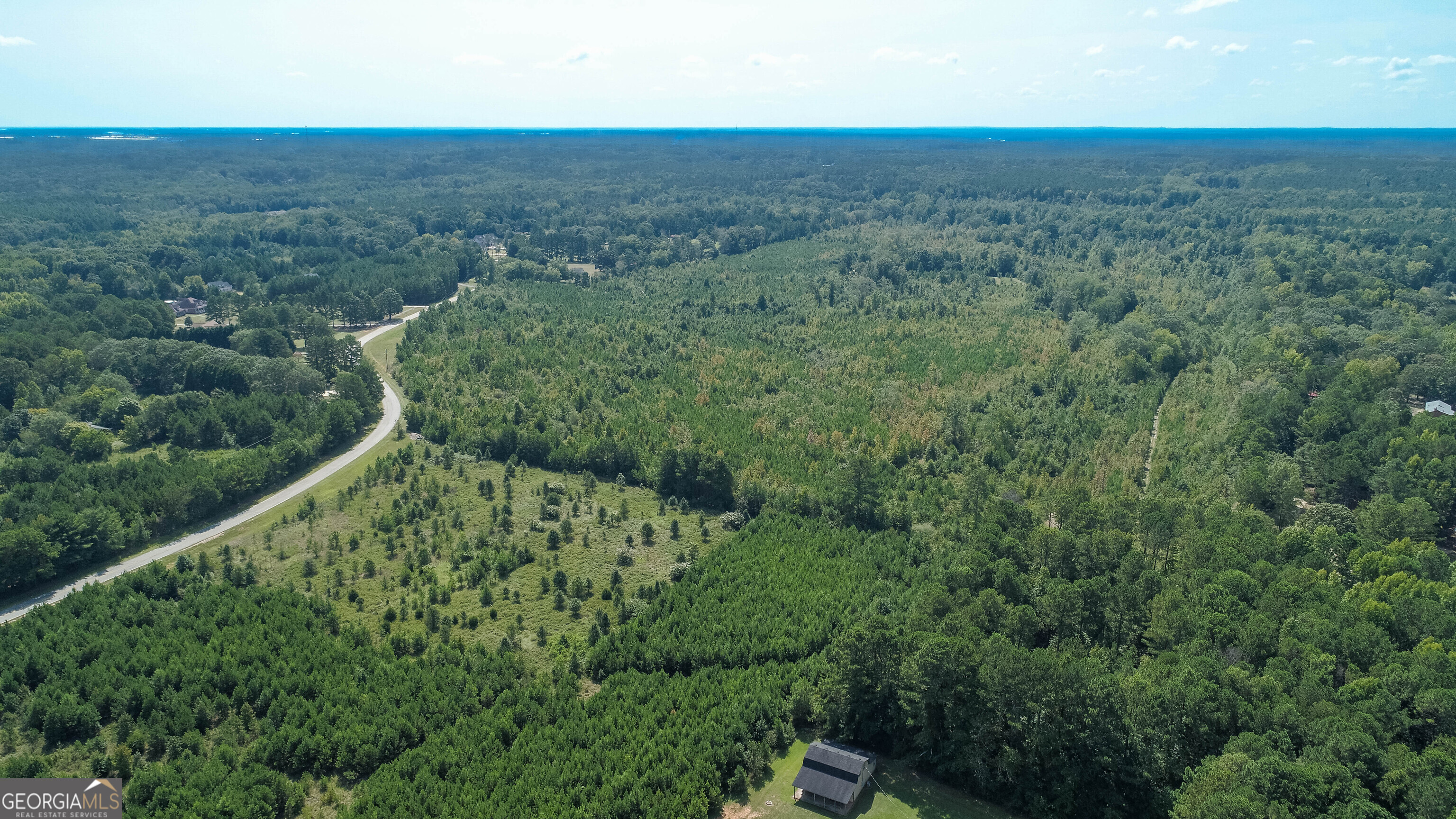 0 Mt Carmel Road Hampton, GA 30228 - Photo 3 of 12 an aerial view of a house with a yard