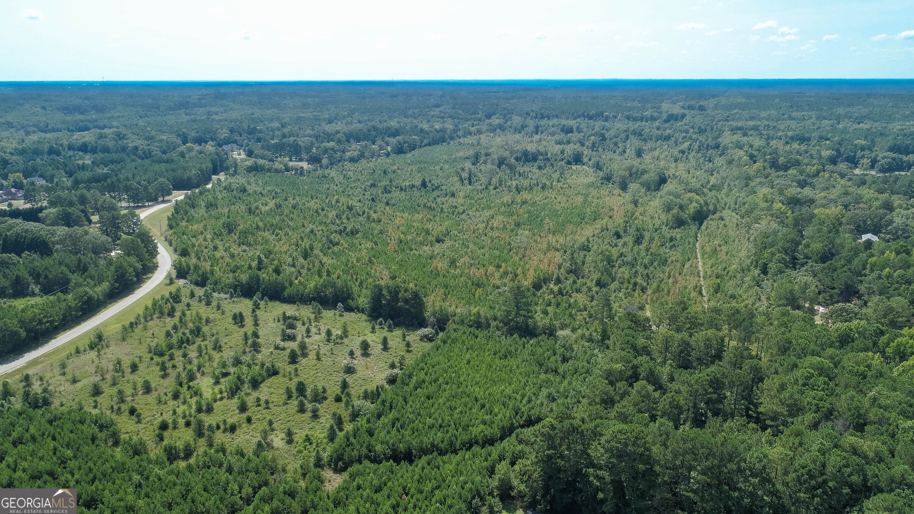 0 Mt Carmel Road Hampton, GA 30228 - Photo 7 of 12 a view of a field