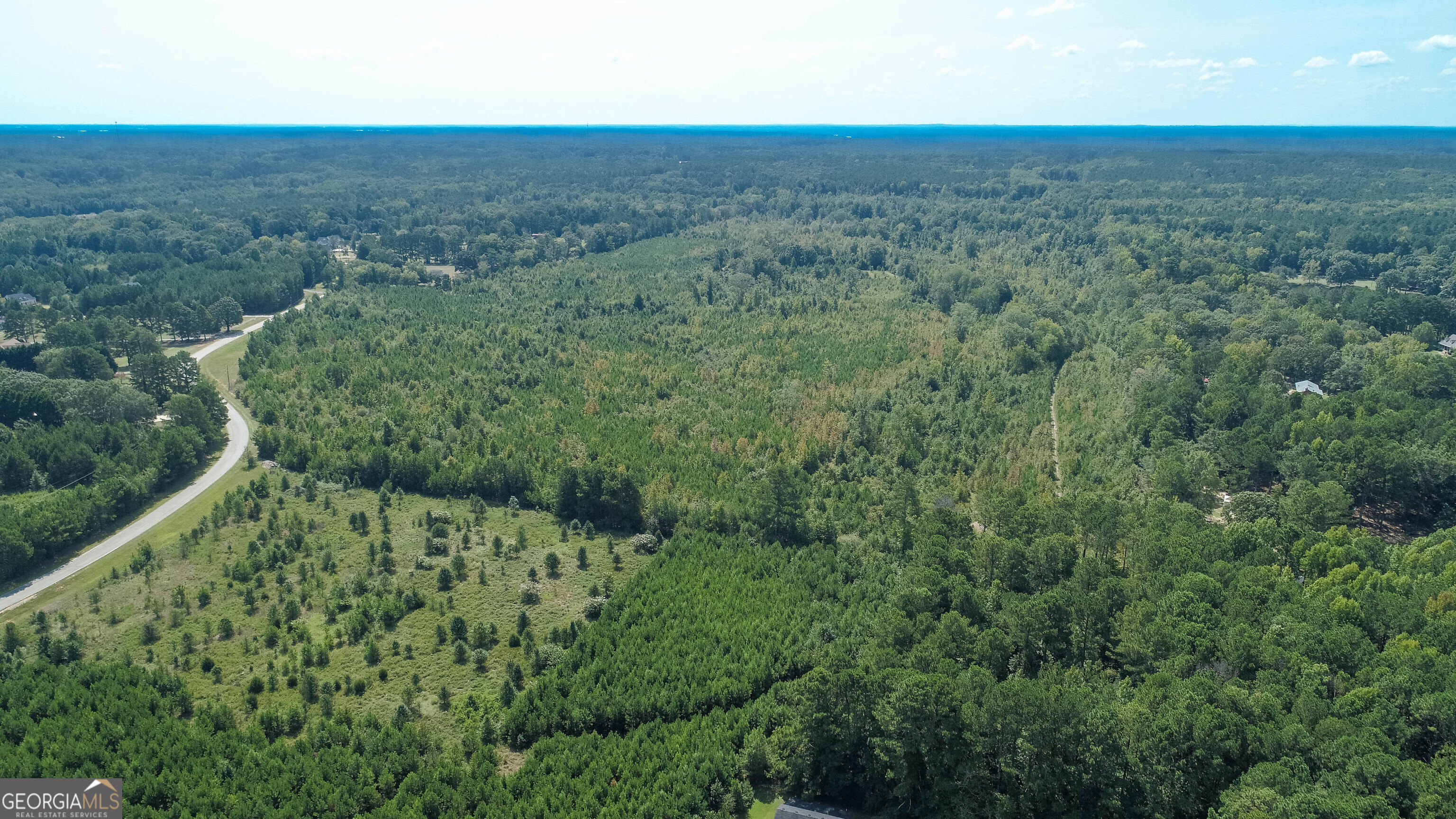 0 Mt Carmel Road Hampton, GA 30228 - Photo 8 of 12 an aerial view of a house with a yard