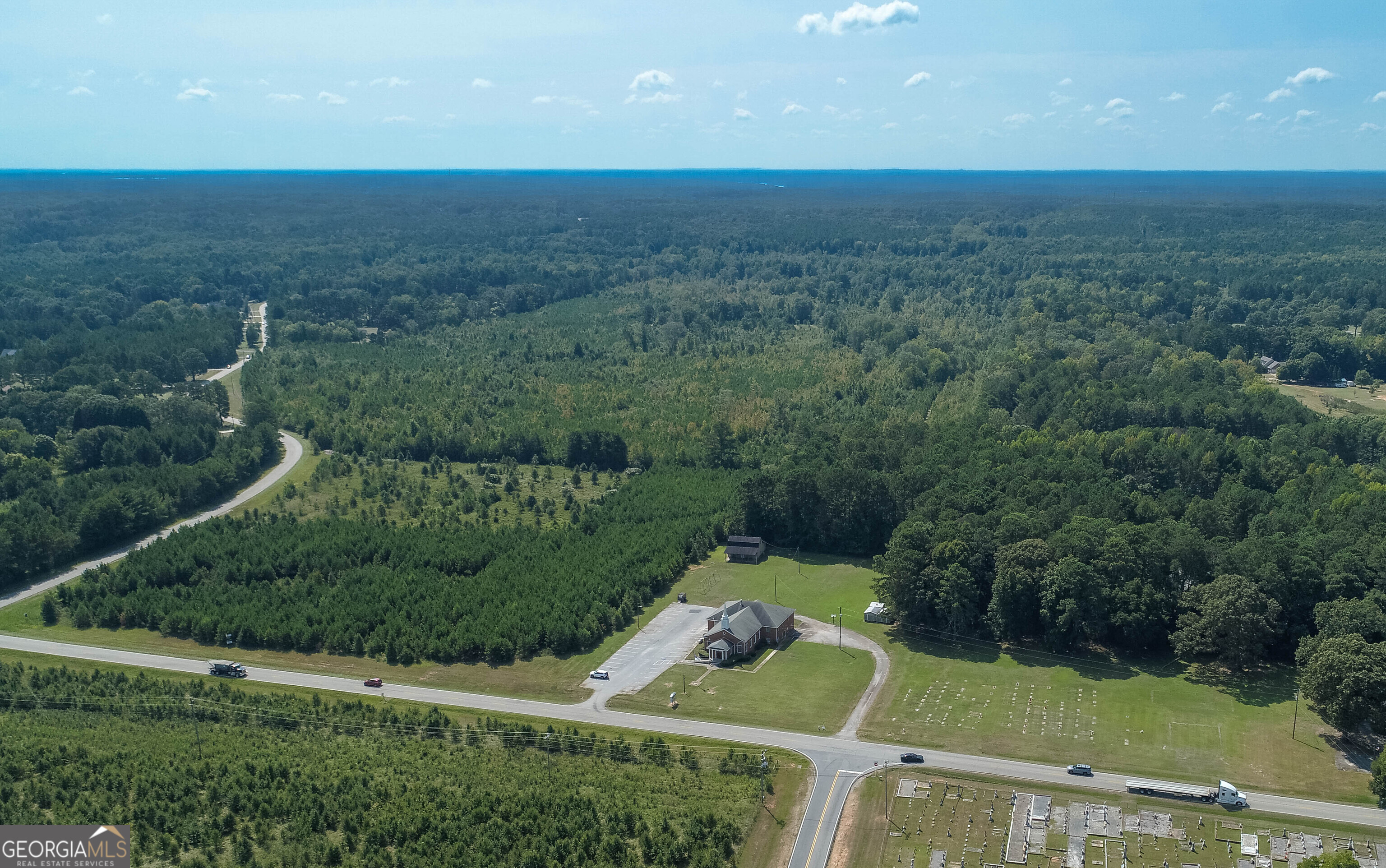 0 Mt Carmel Road Hampton, GA 30228 - Photo 9 of 12 an aerial view of green landscape with trees houses and mountain view