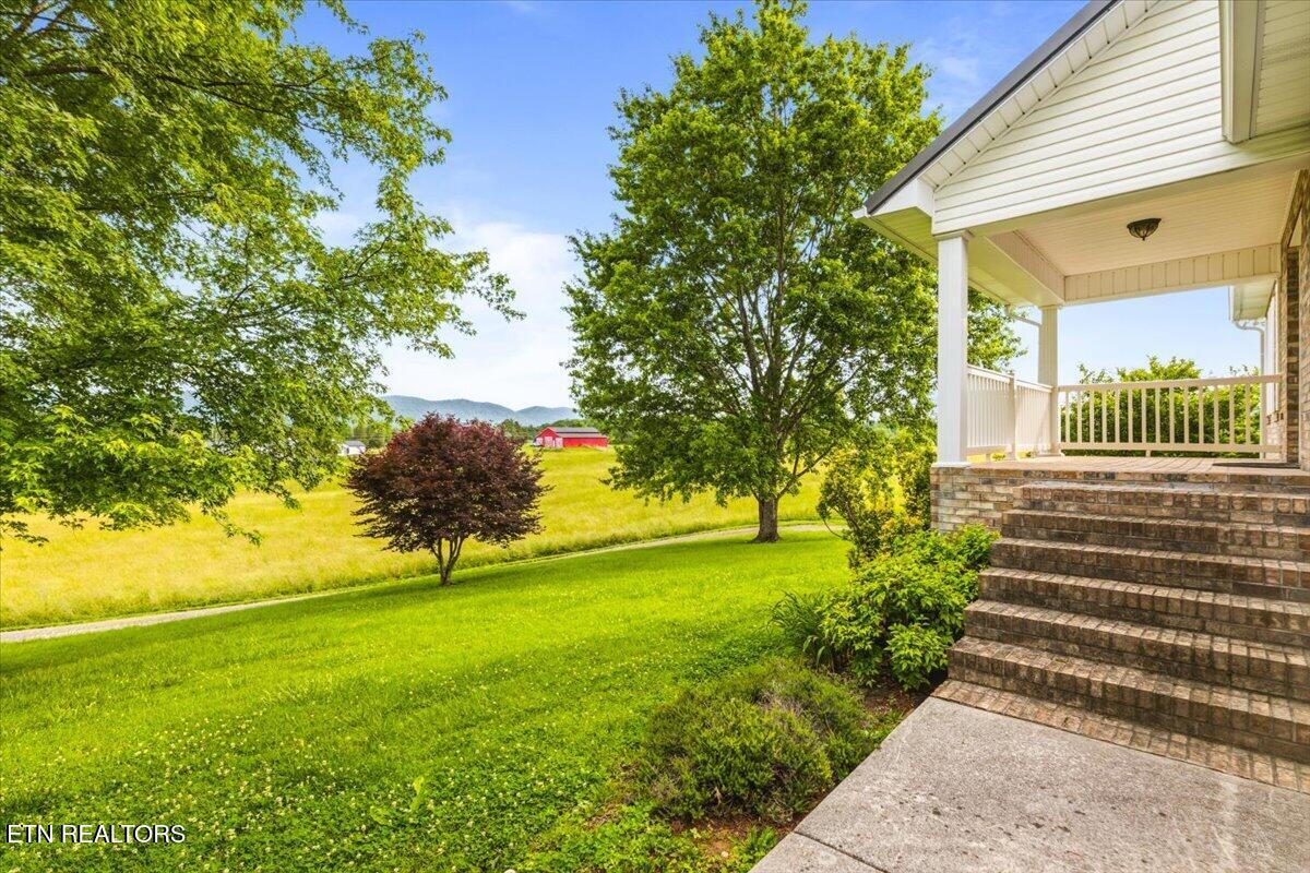 819 Island Ford Road Jacksboro, TN 37757 - Photo 45 of 56 45-819 Island Ford Rd